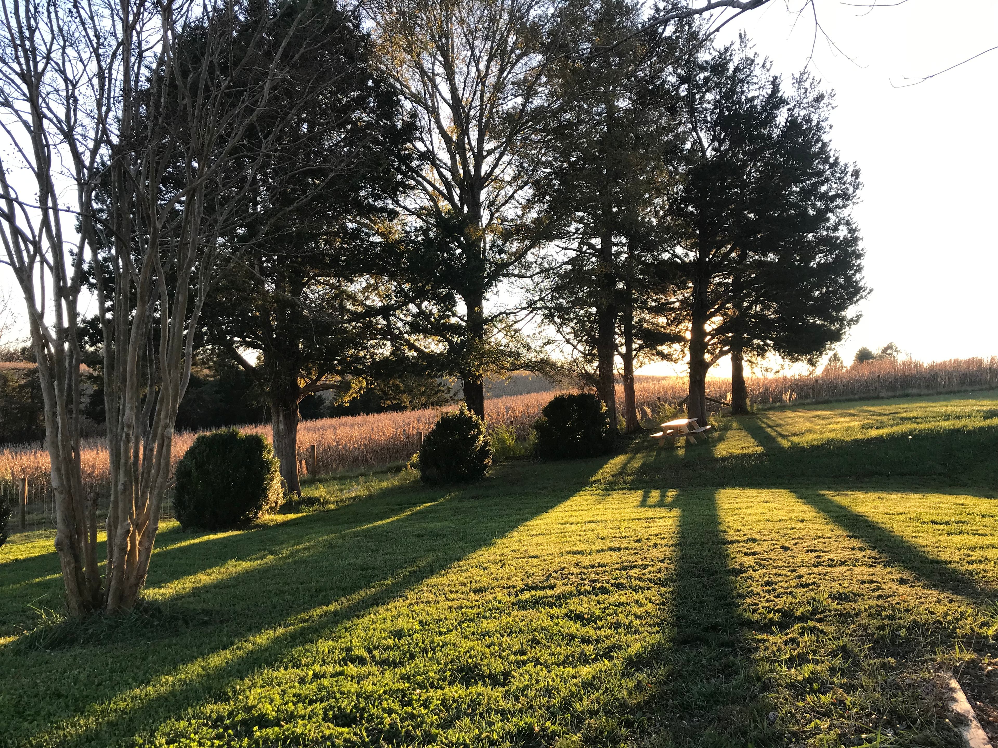 Historic Hobby Farm