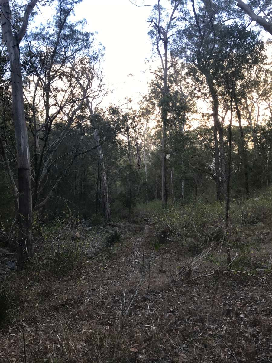 Hope Valley