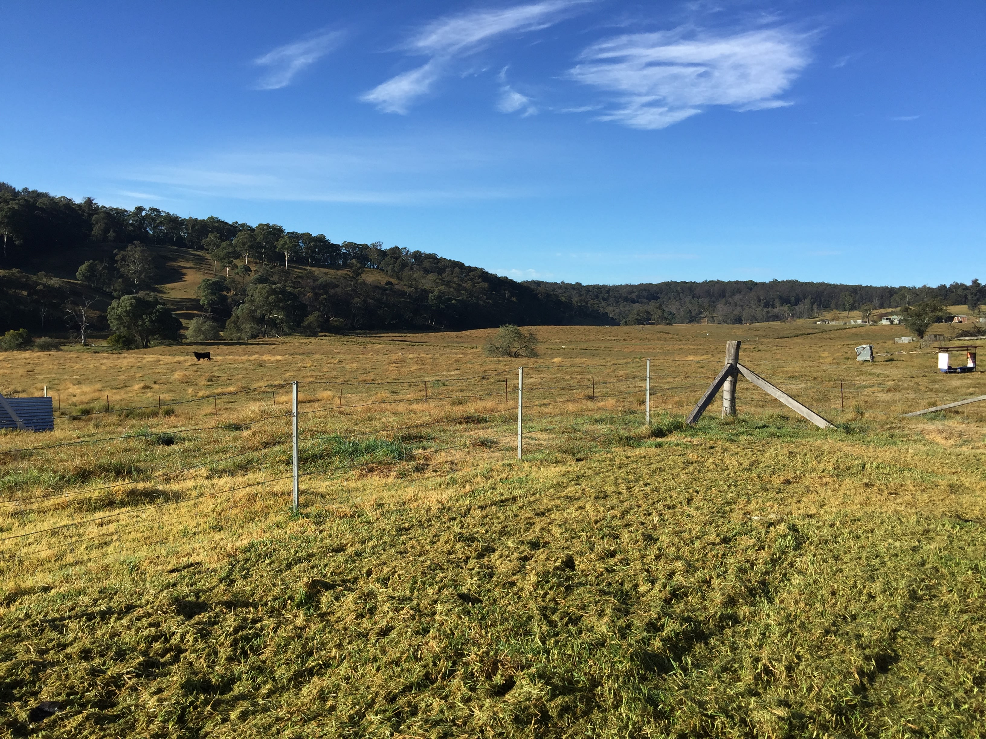 Red Hill Organics Farmstay