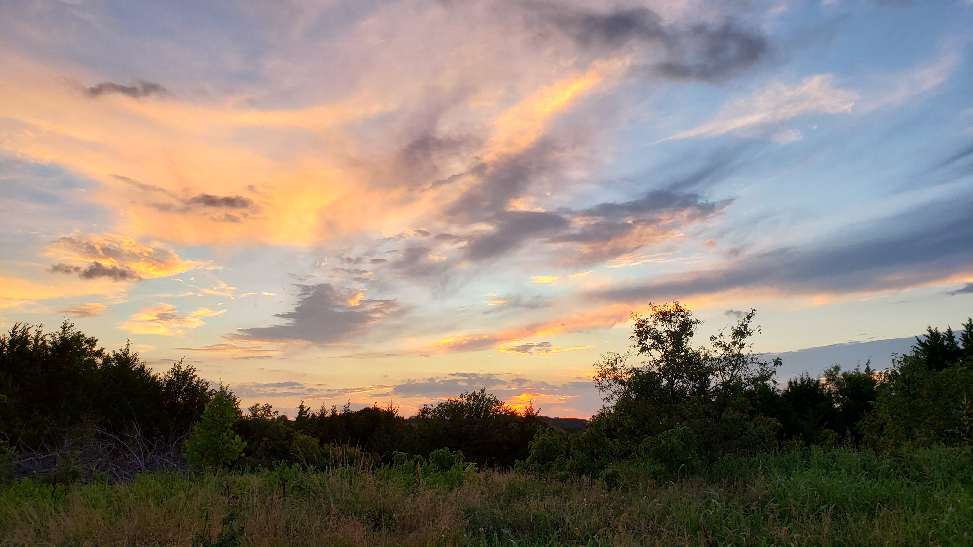 Sunset in the back pasture