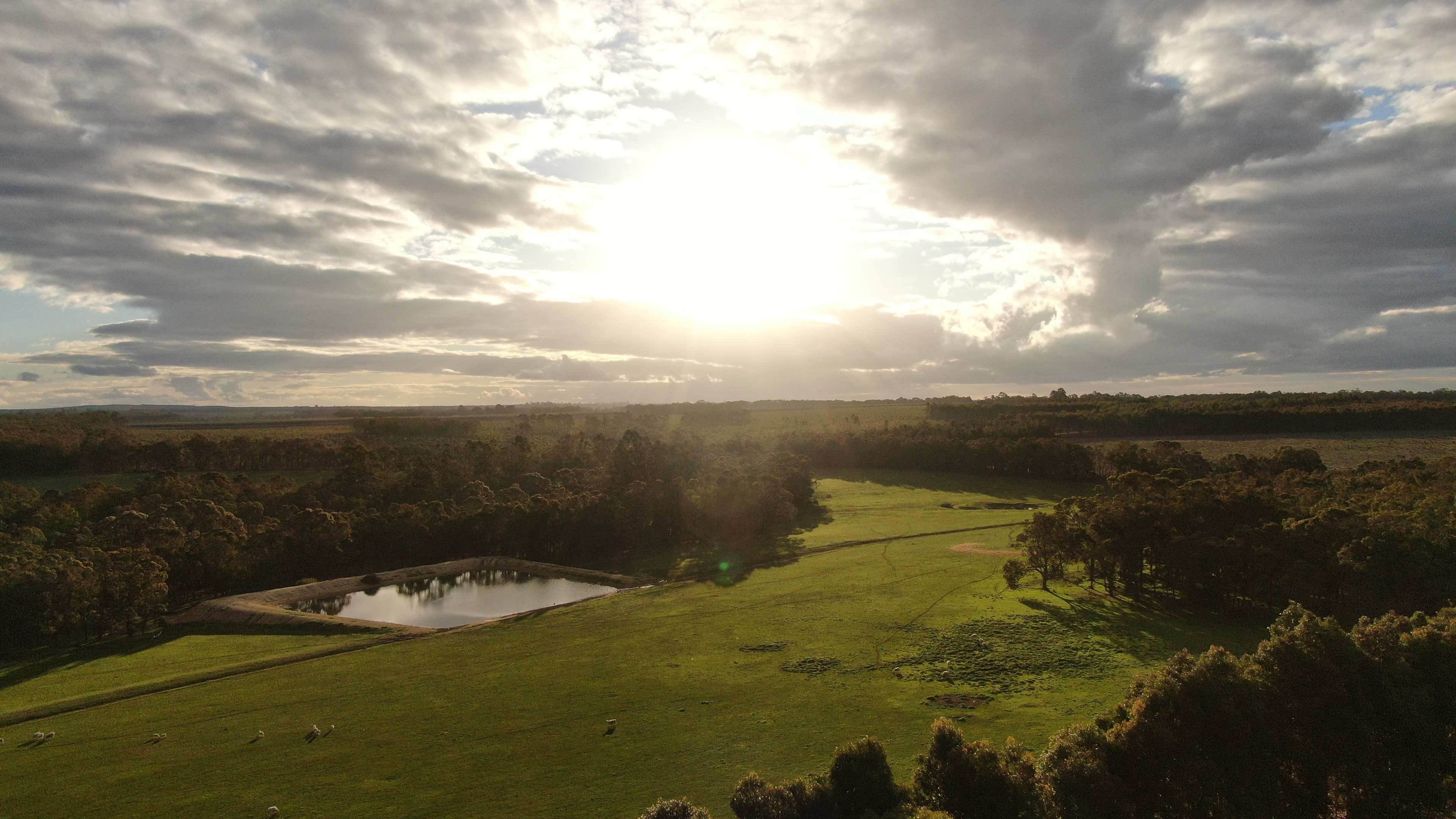 Gloria Dieu Apricot Farm and Cellar