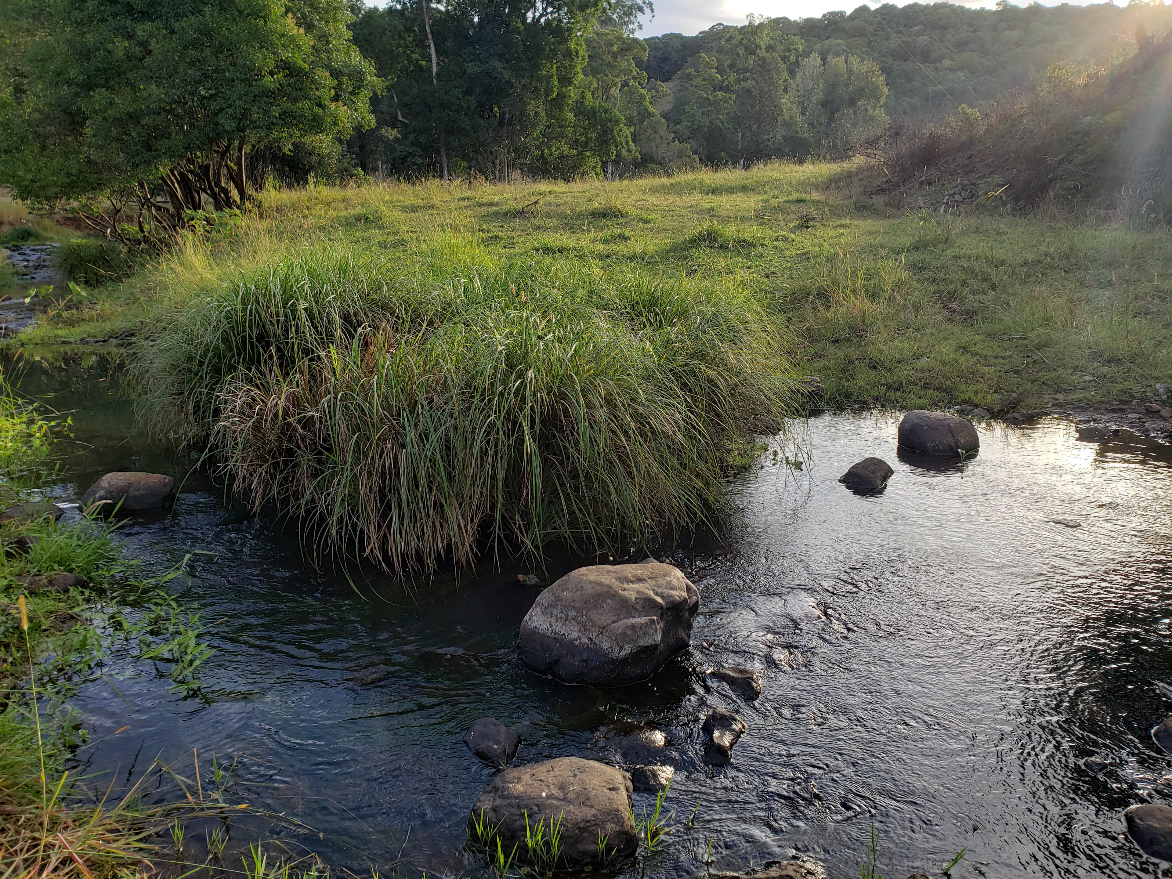 Creek View