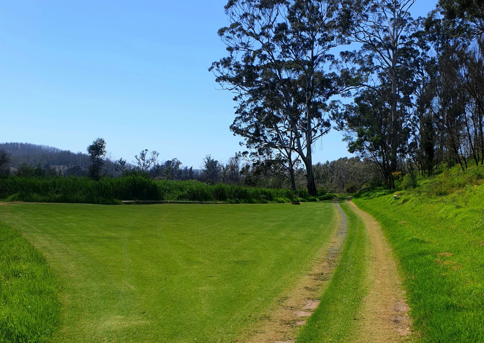 Site #1 (near) Boatramp site