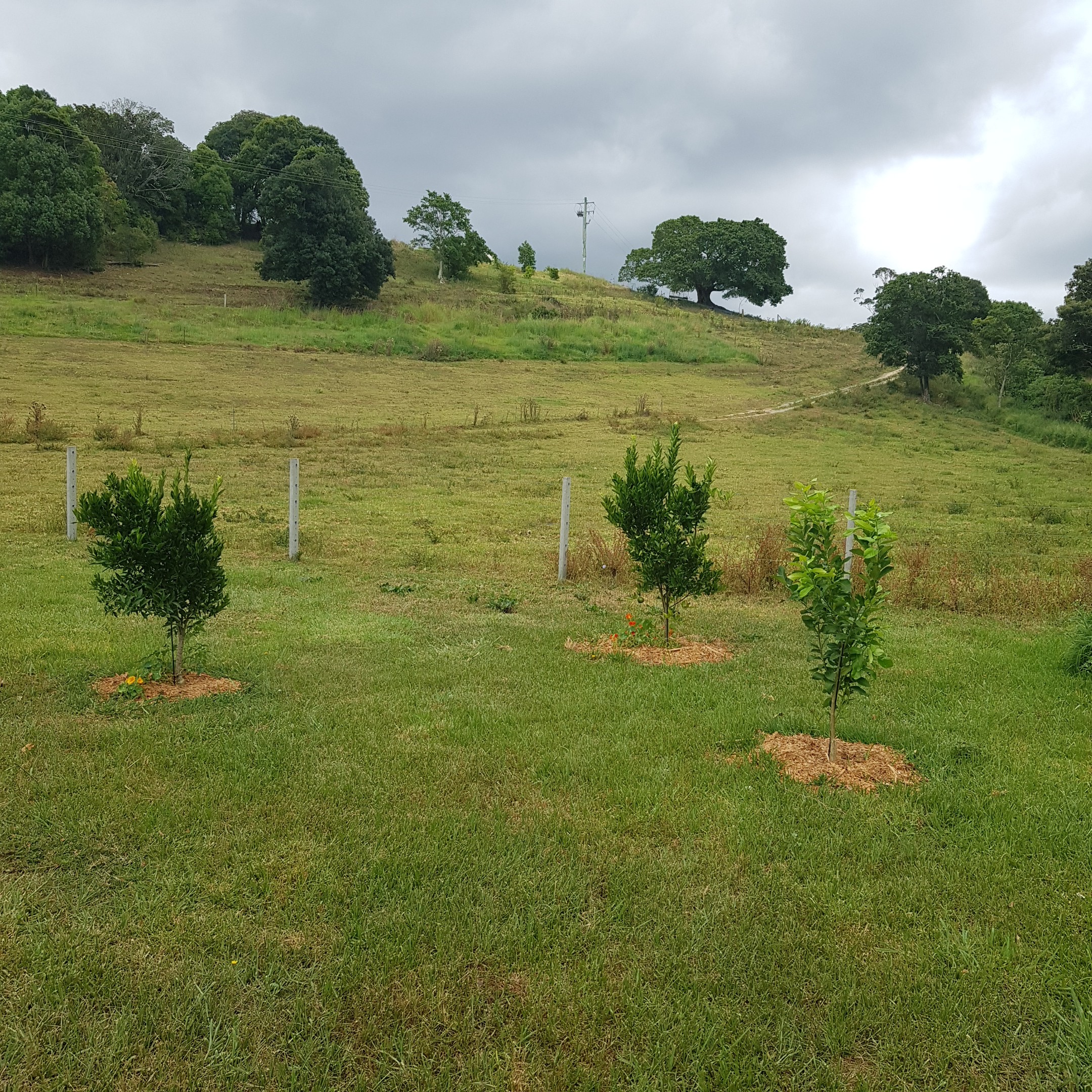 Tweed Valley Farmhouse Cheeses