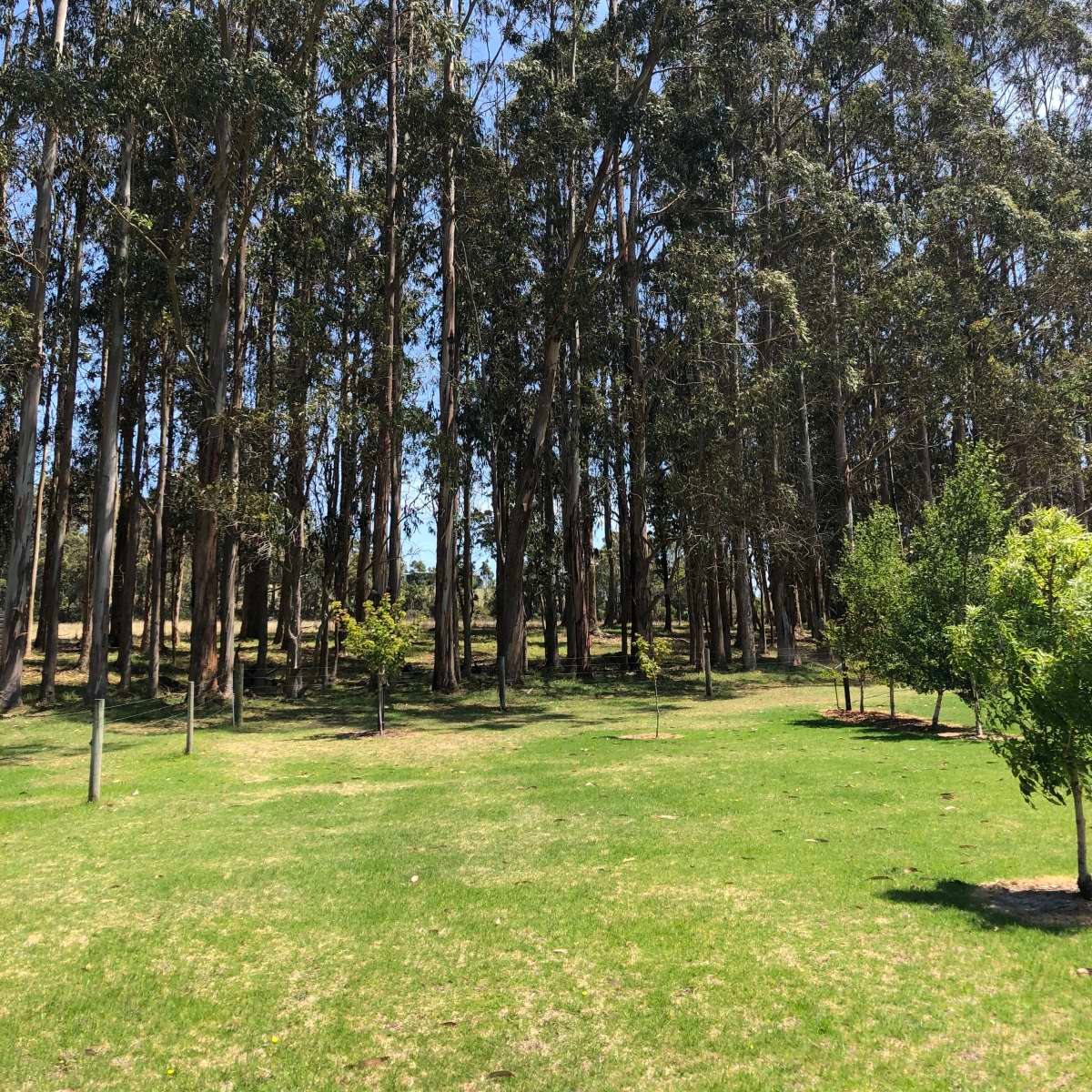 Electricity and Water at each site
