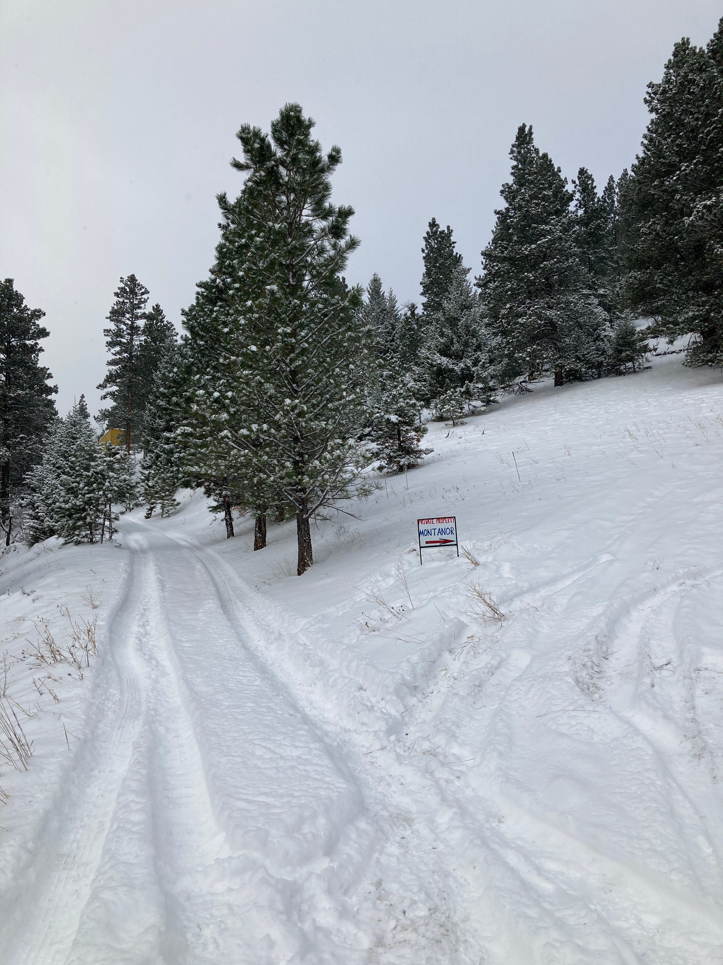 Where the driveway splits to our property and our neighbor's property. Go right!