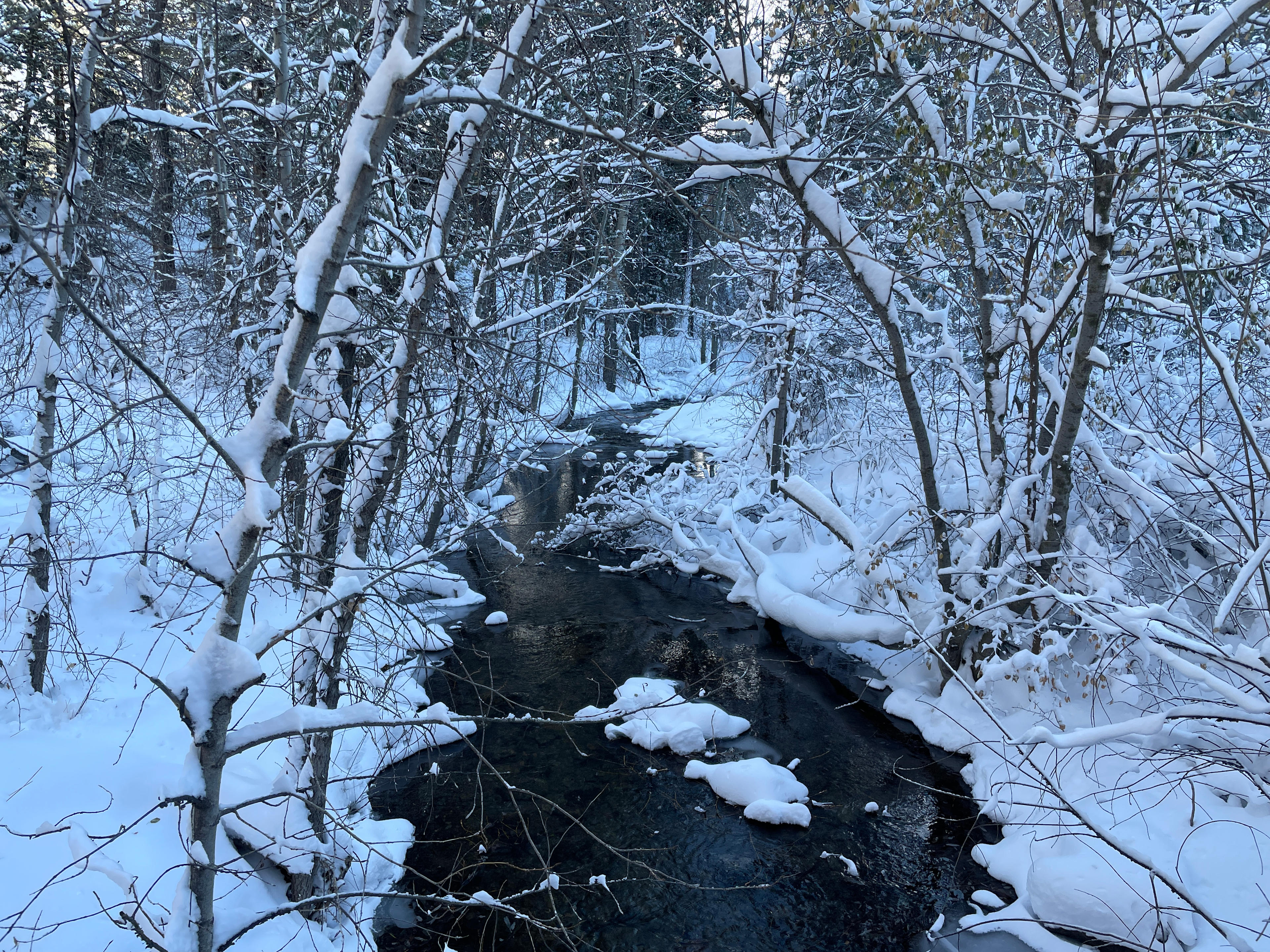 The stream at the beginning of Gladstone Creek Rd