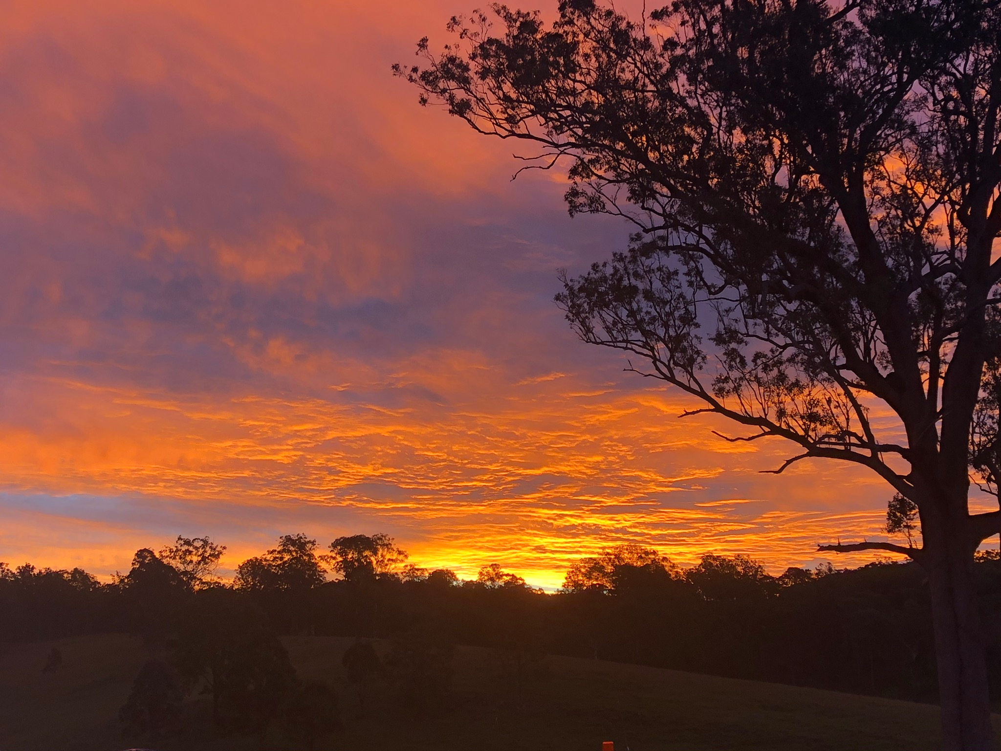 Botfield Farms @ Mummulgum