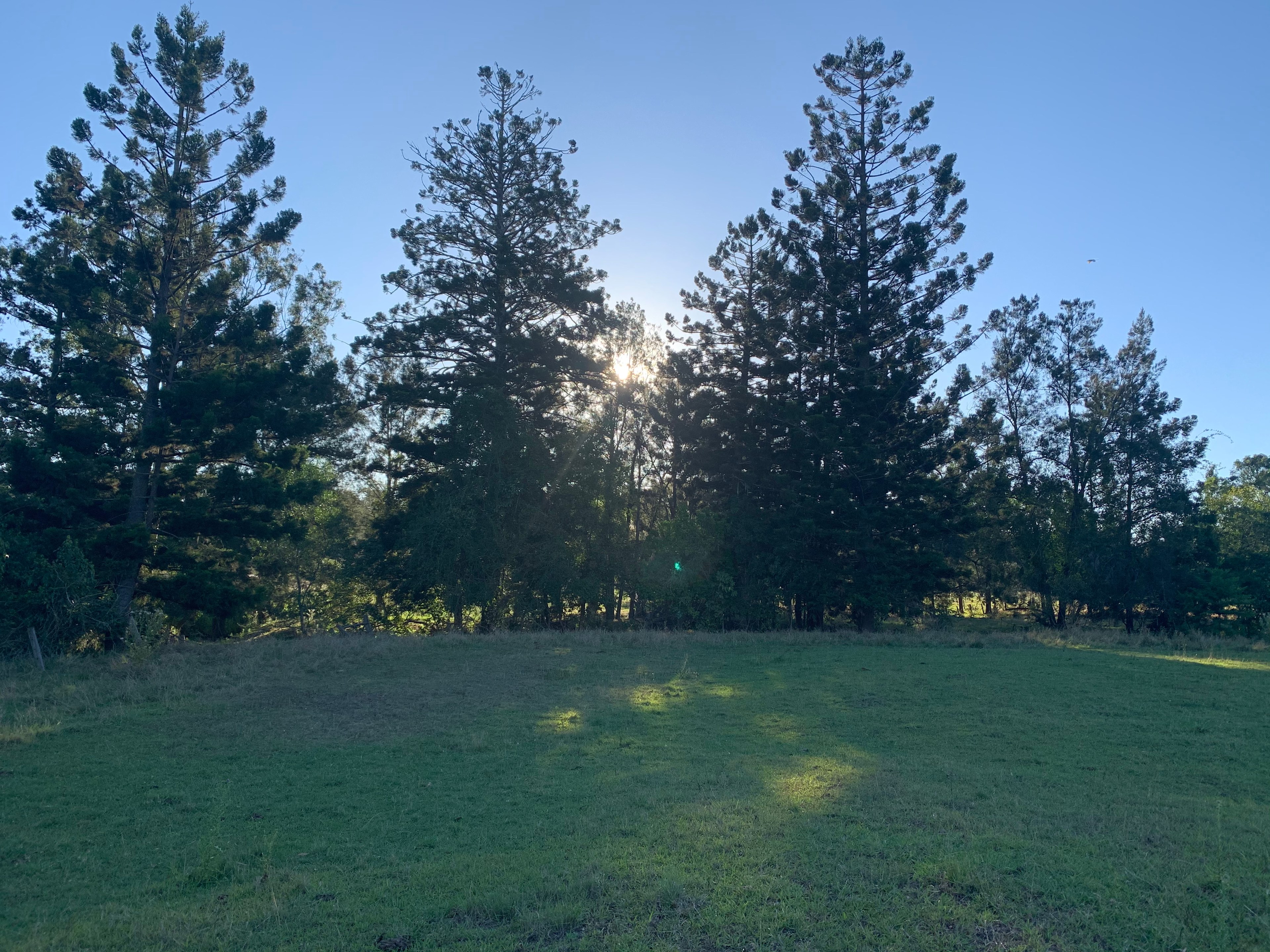 Botfield Farms @ Mummulgum