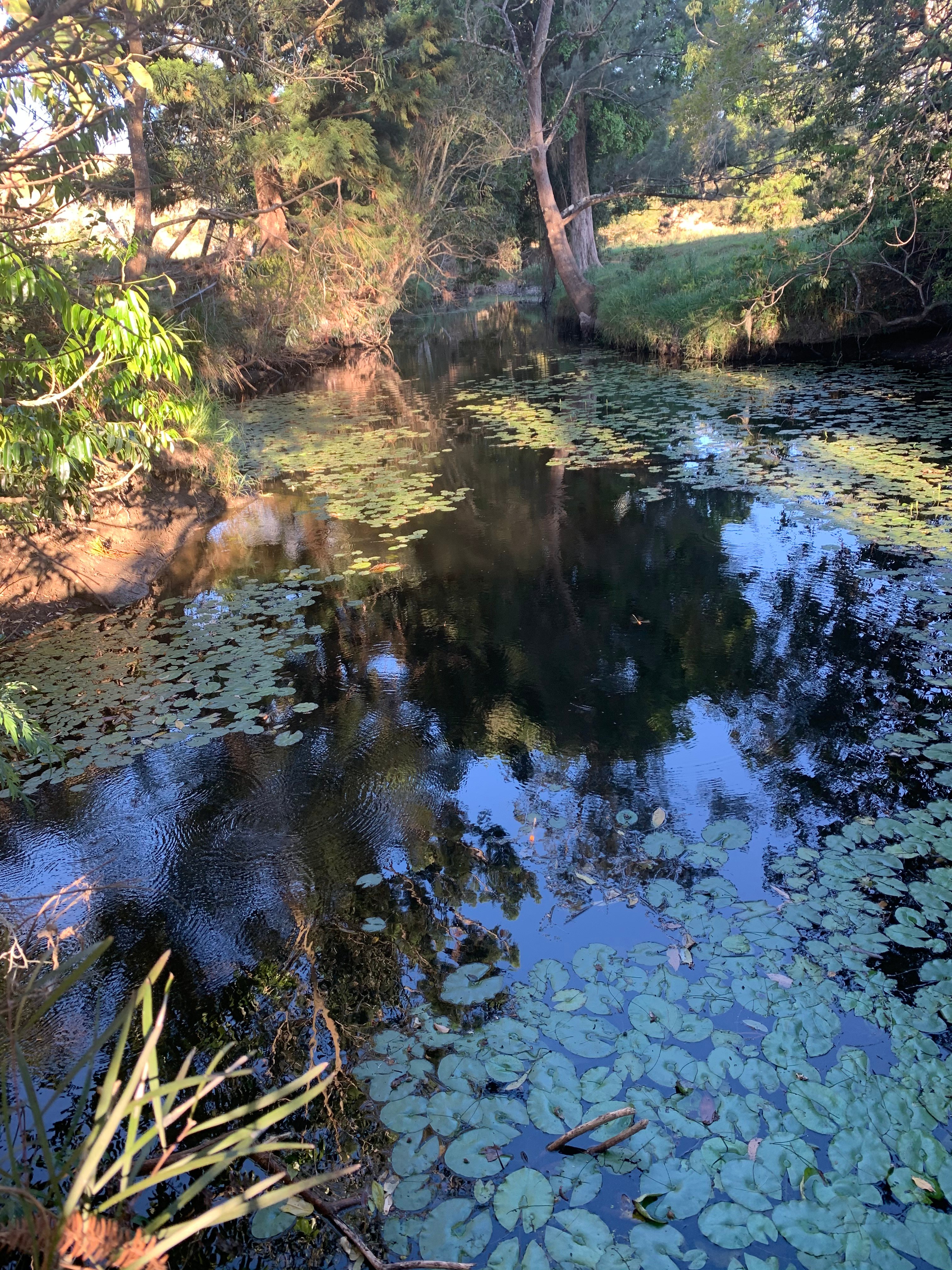 Botfield Farms @ Mummulgum