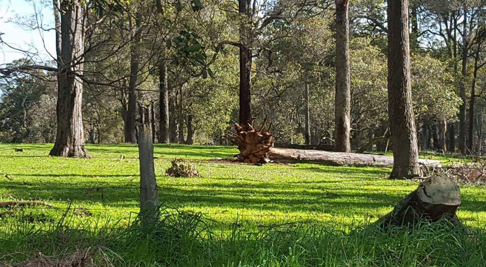 Parkland Bush Camp Mapanap