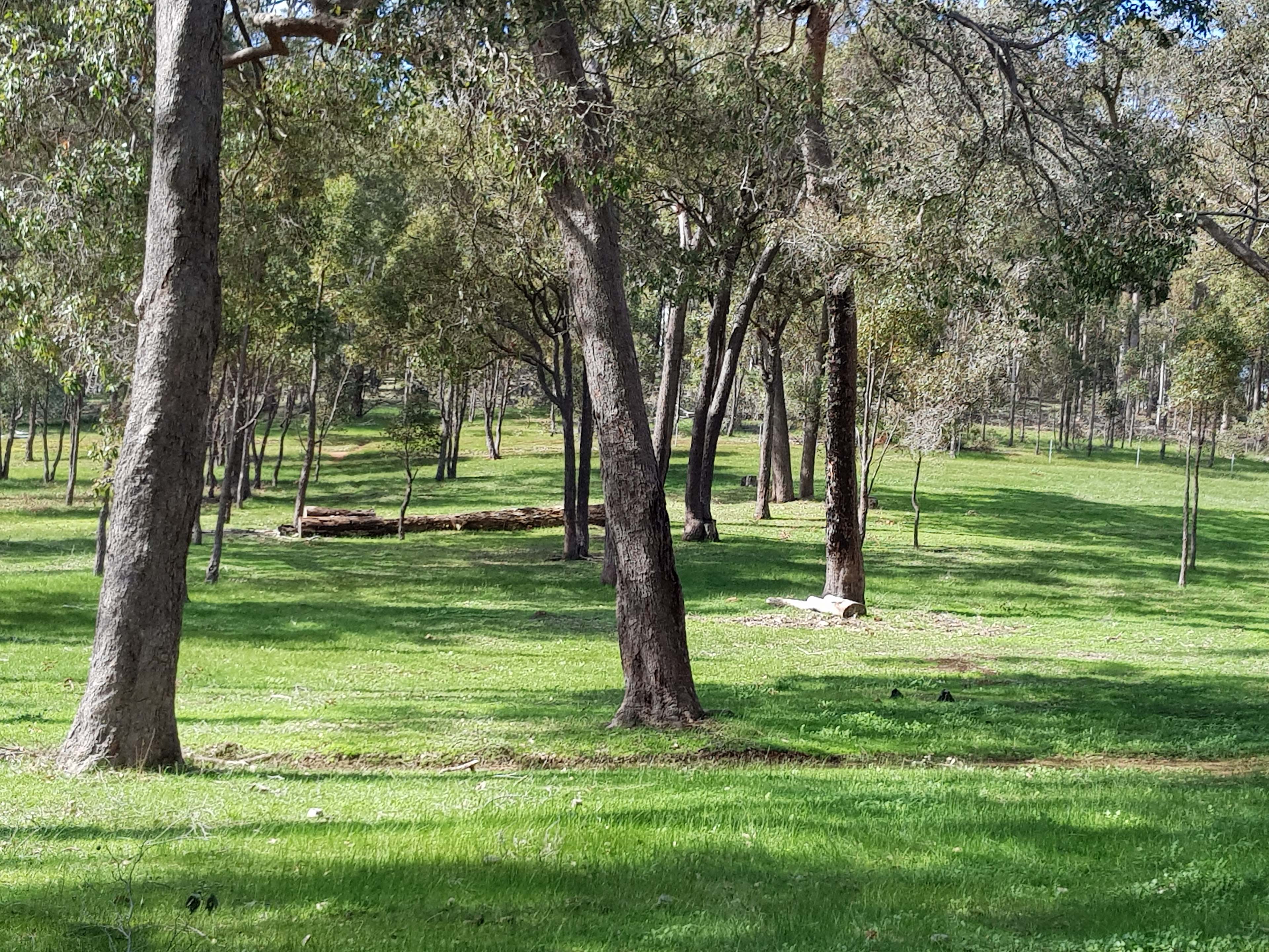 Parkland Bush Camp Mapanap