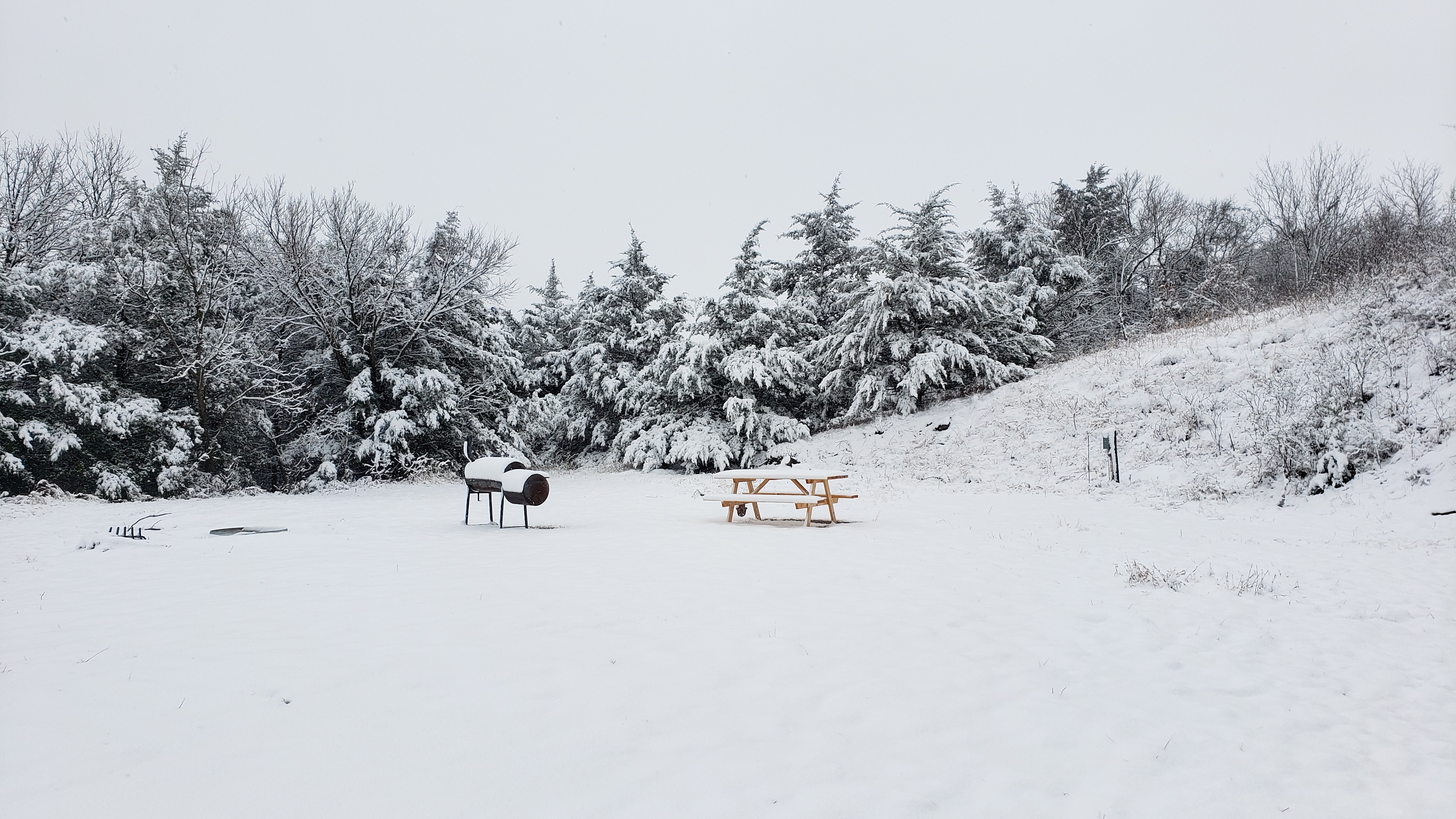 Site 3 during December snow