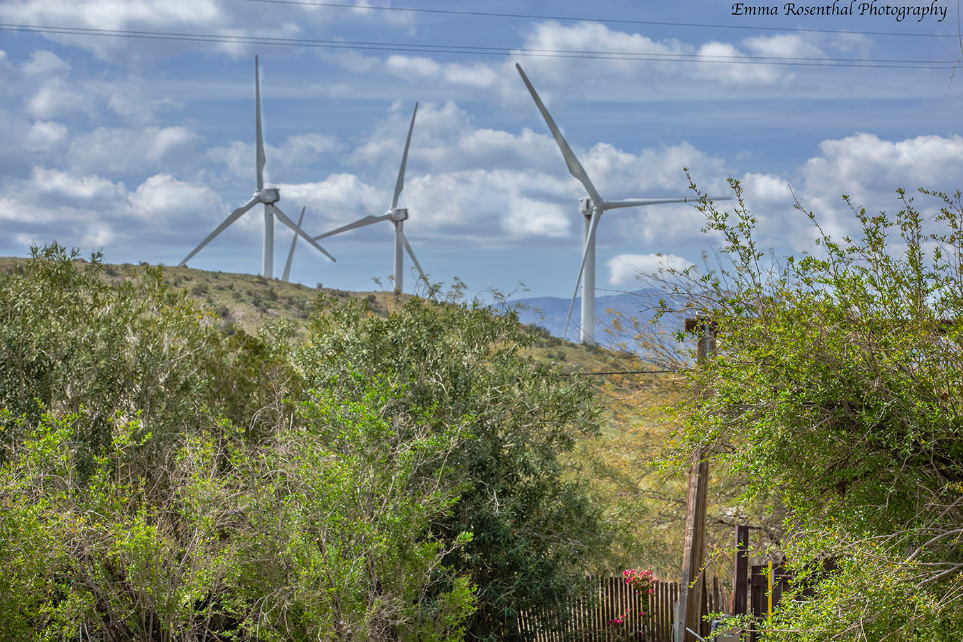 The view from our land. Windmills on the nearby surrounding hills. (It gets windy here.)