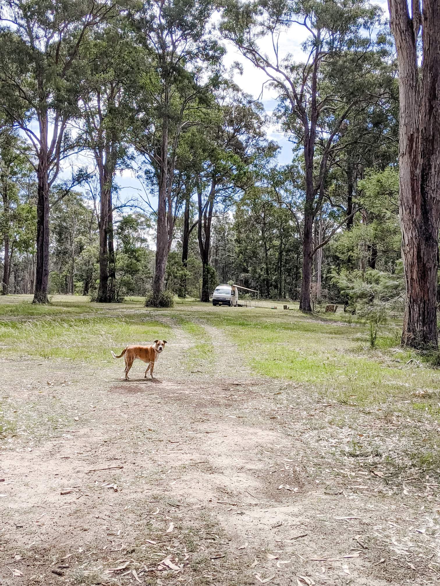 Tomakin River Camping
