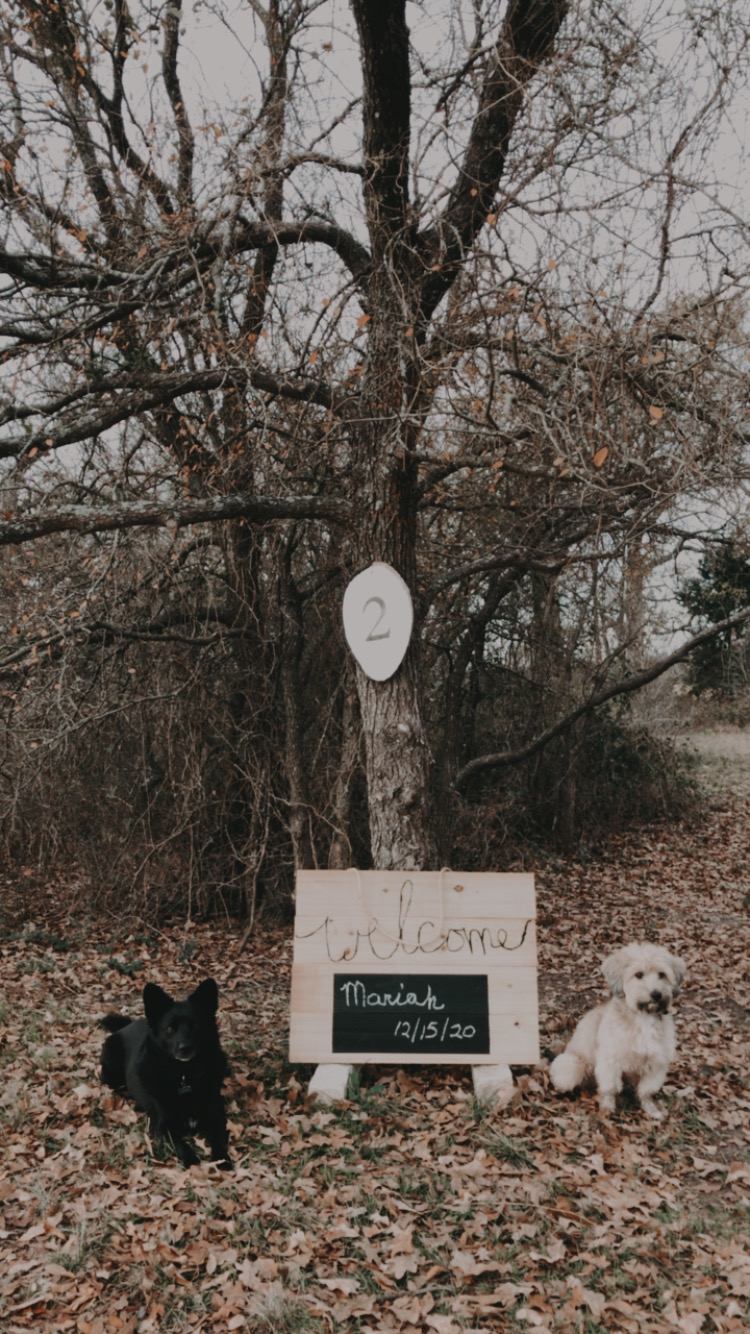Regena had our name written at our campsite, it was such a thoughtful touch to arrive to! 
