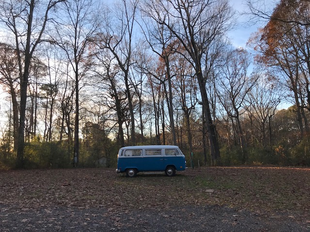 In The Woods