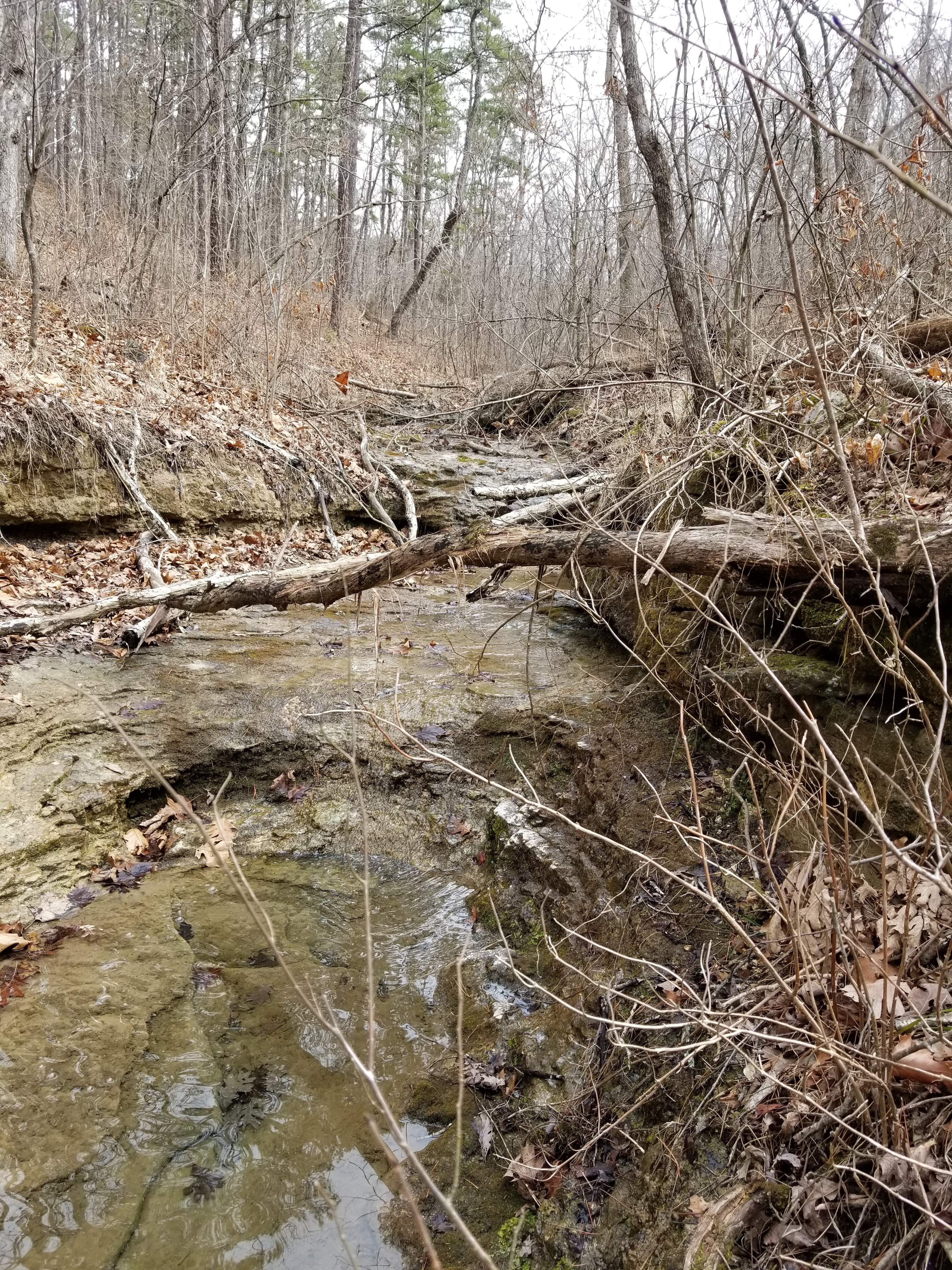Hagood Farms and Trails