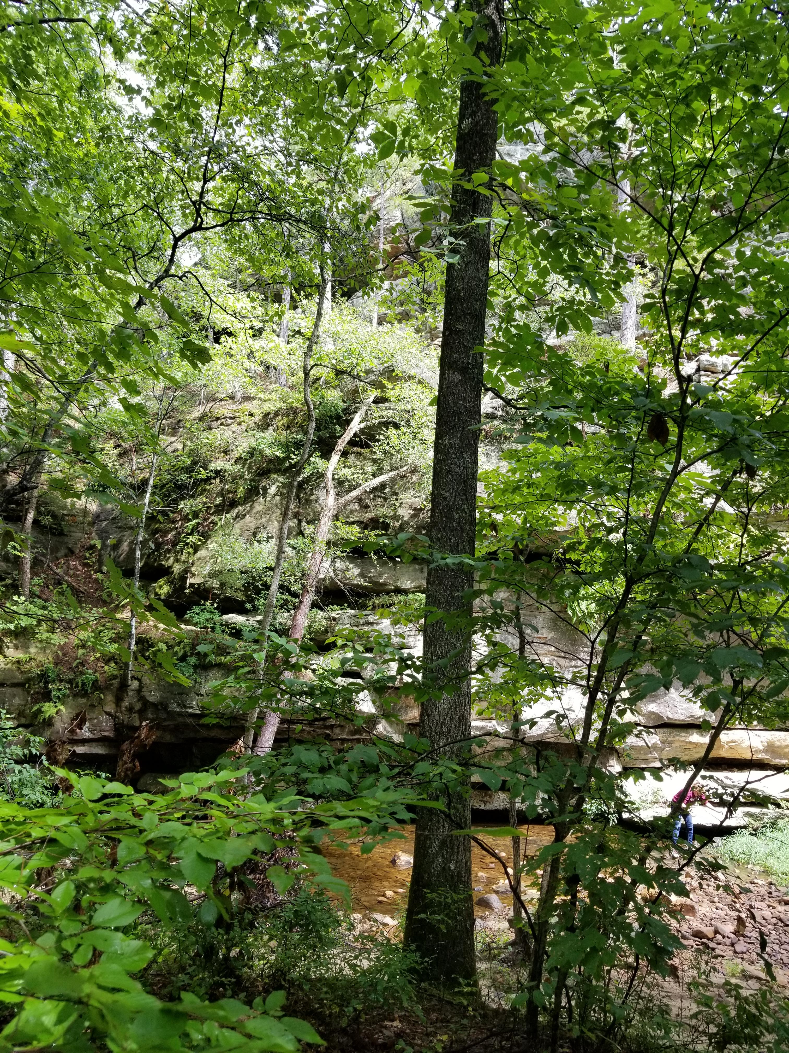 Hagood Farms and Trails