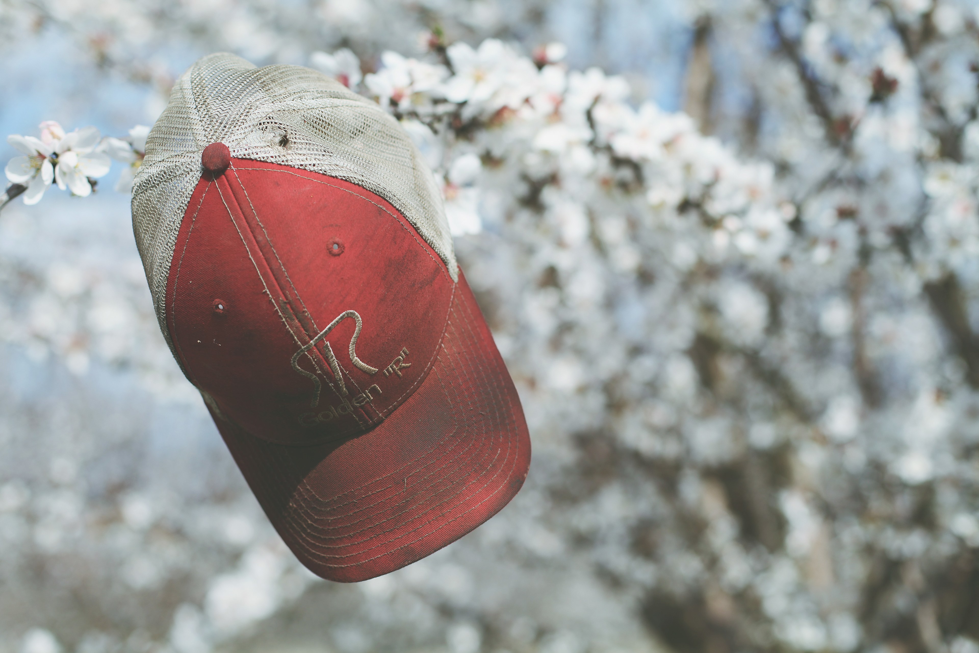 Stars + Mt. Diablo + Farm RV Pad