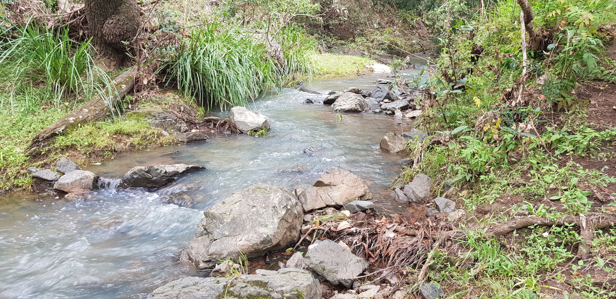 Inglebar Creek Campsites
