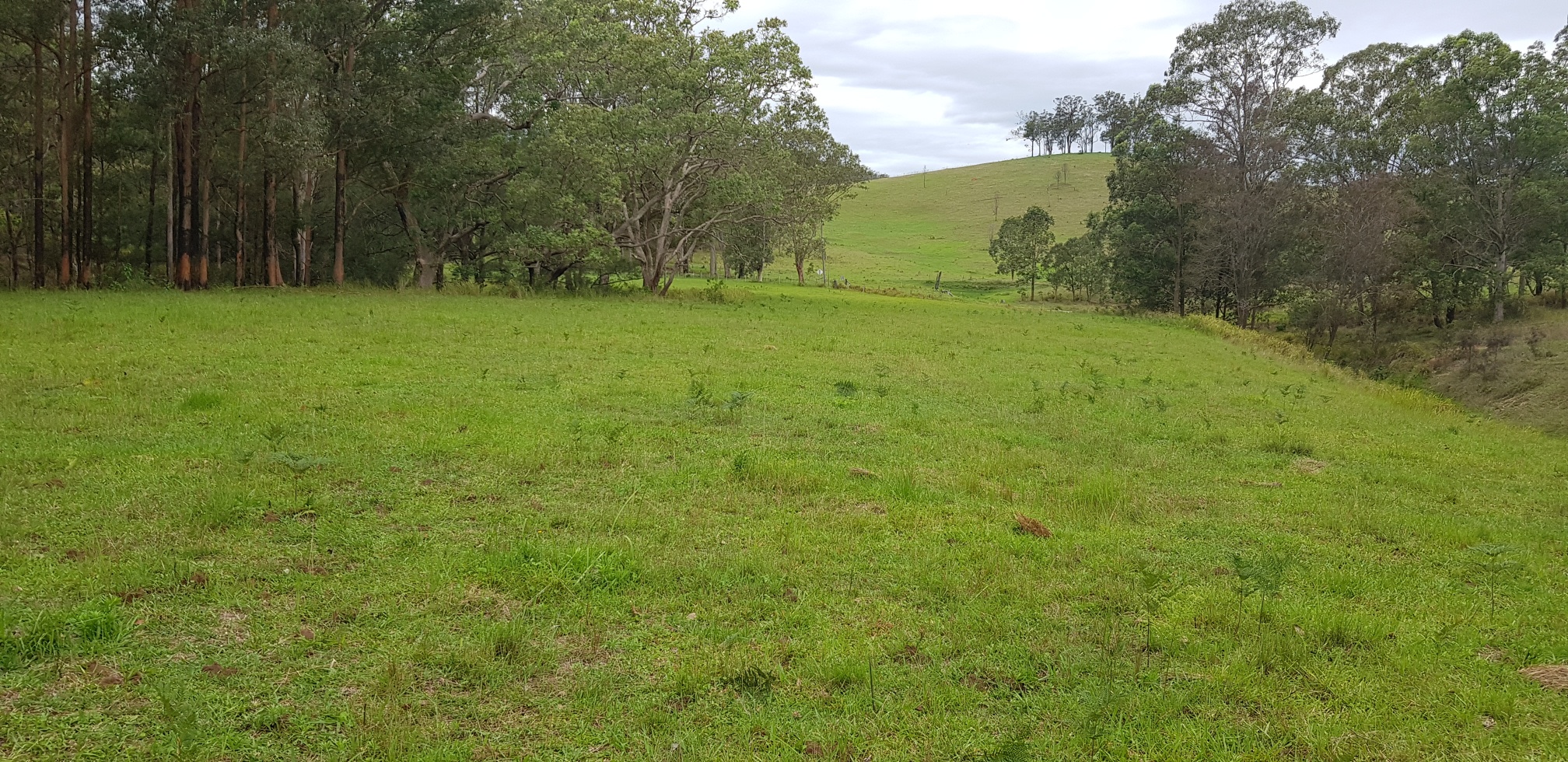 Inglebar Creek Campsites