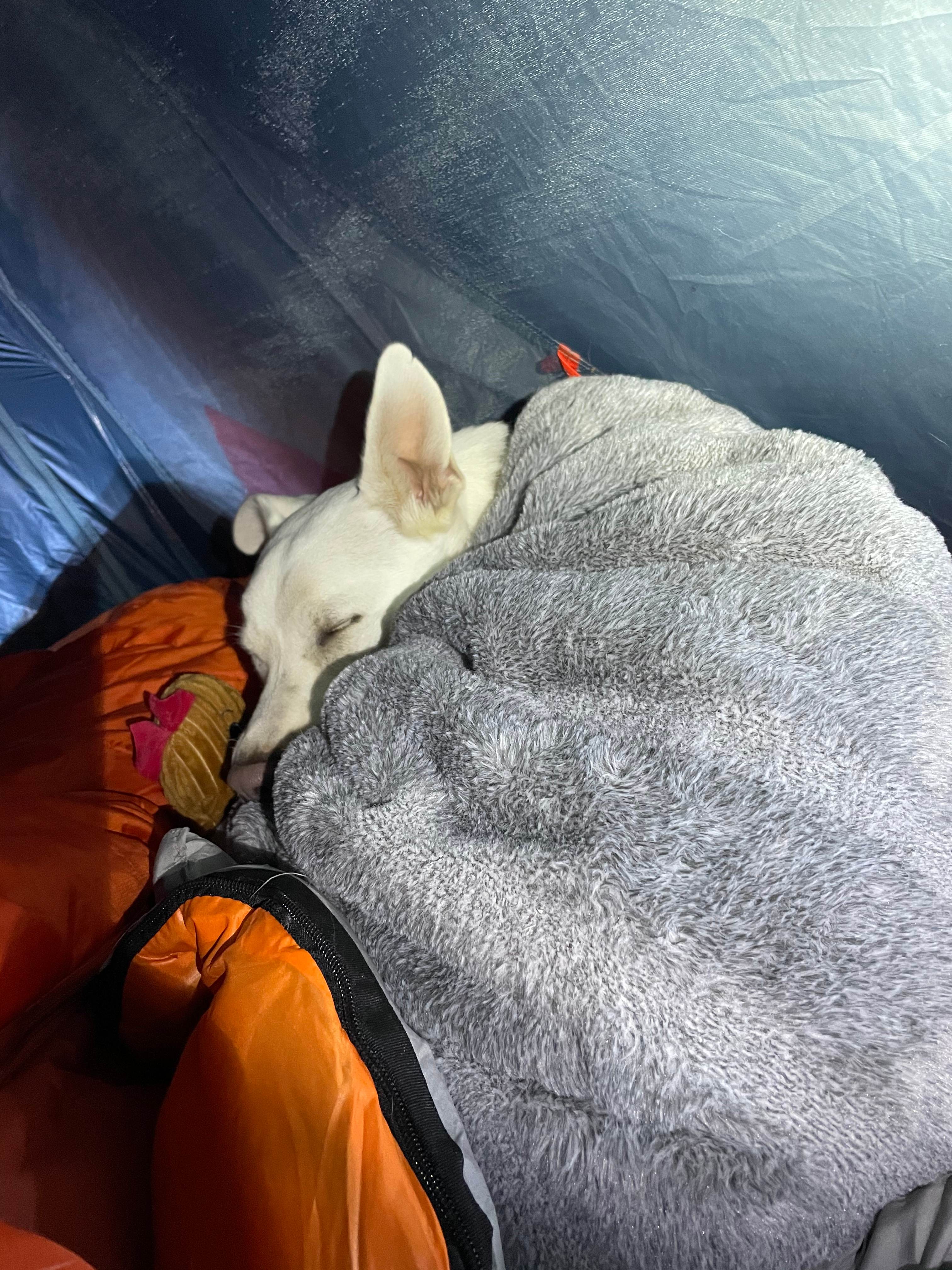 A Unique Mountain Retreat