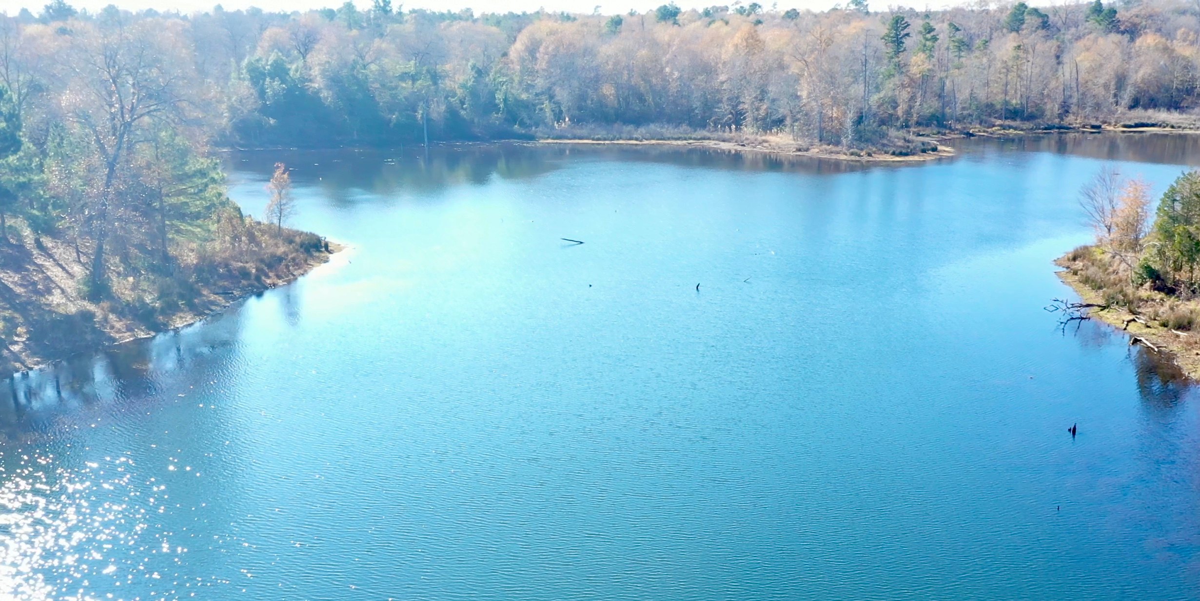 Daffodil Hill Homestead