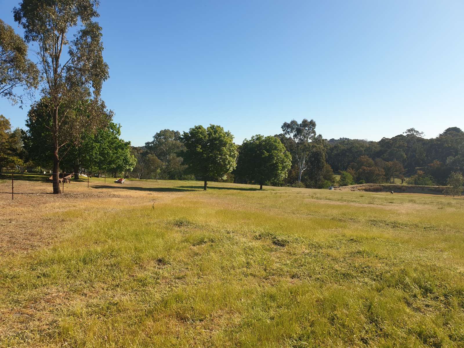 Trevean Homesteado d