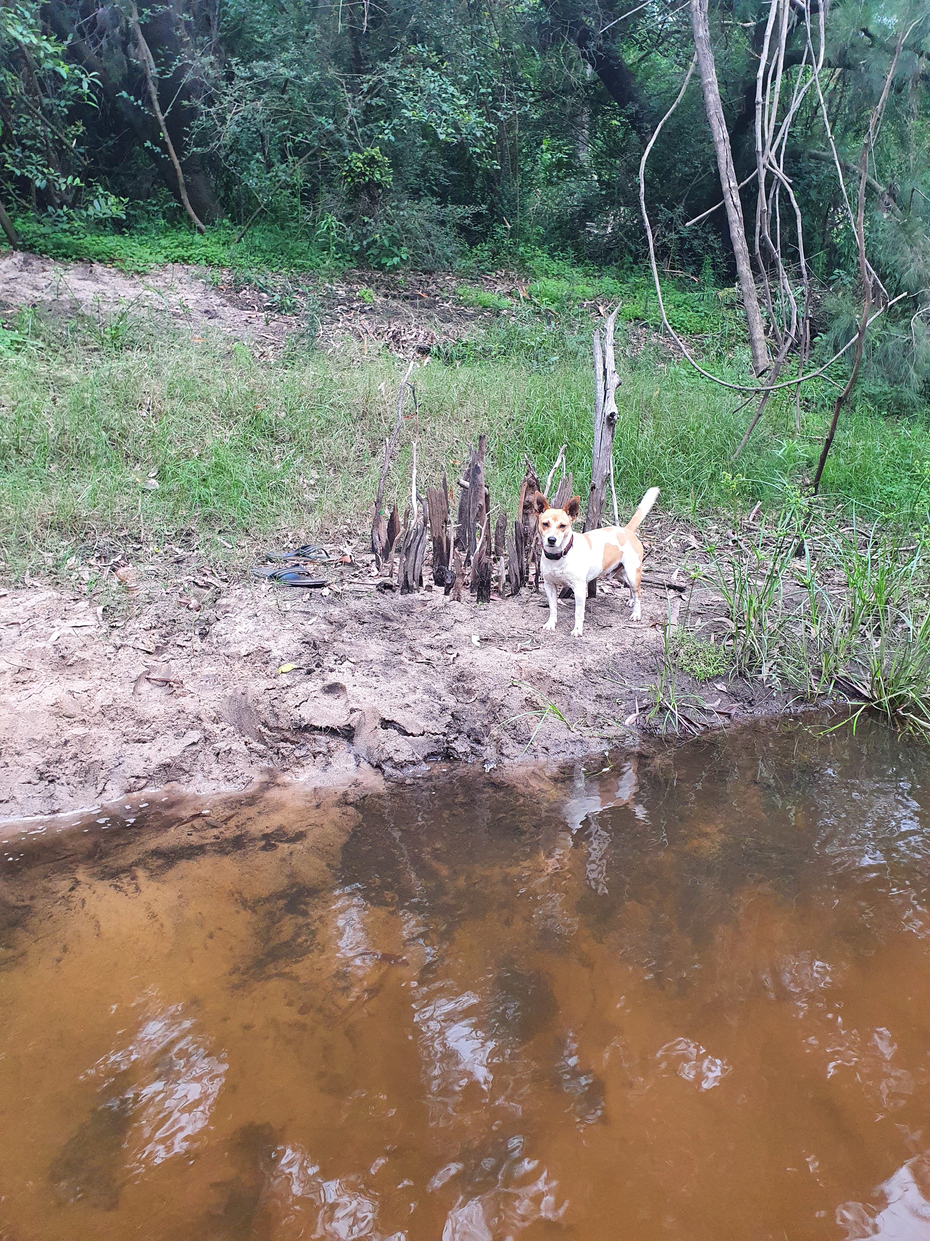 "DeView" Colo River Camping
