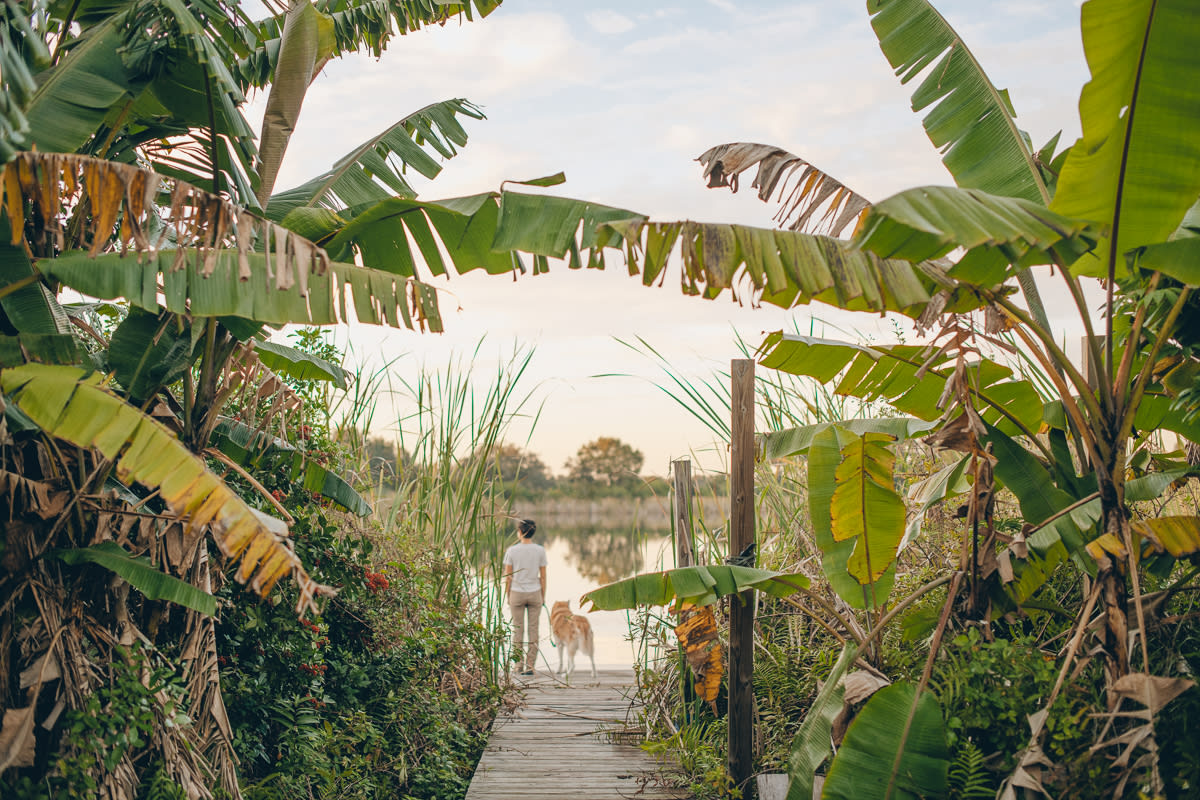 The pond has a floating dock on it