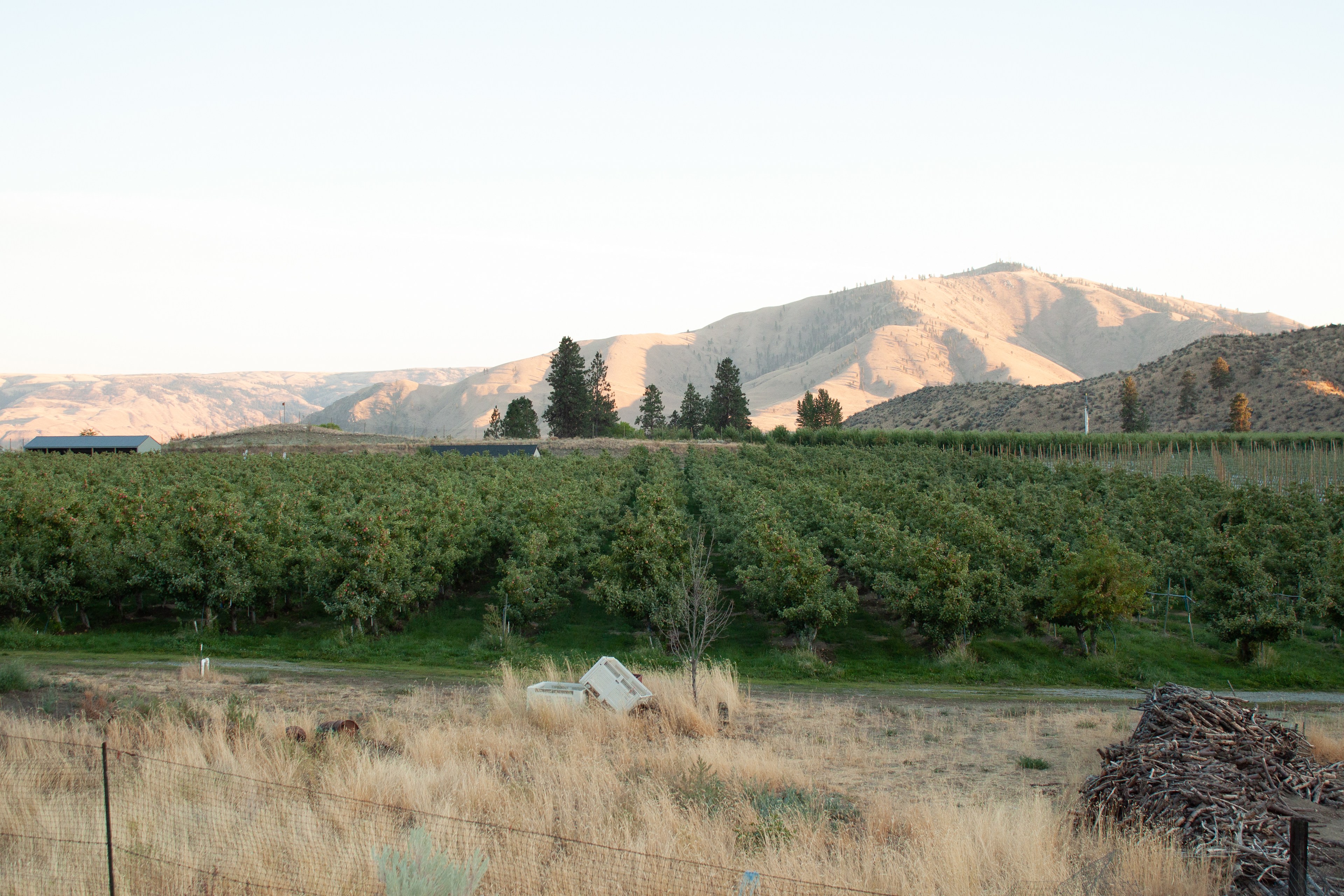 Summerhill Farm and RV Park