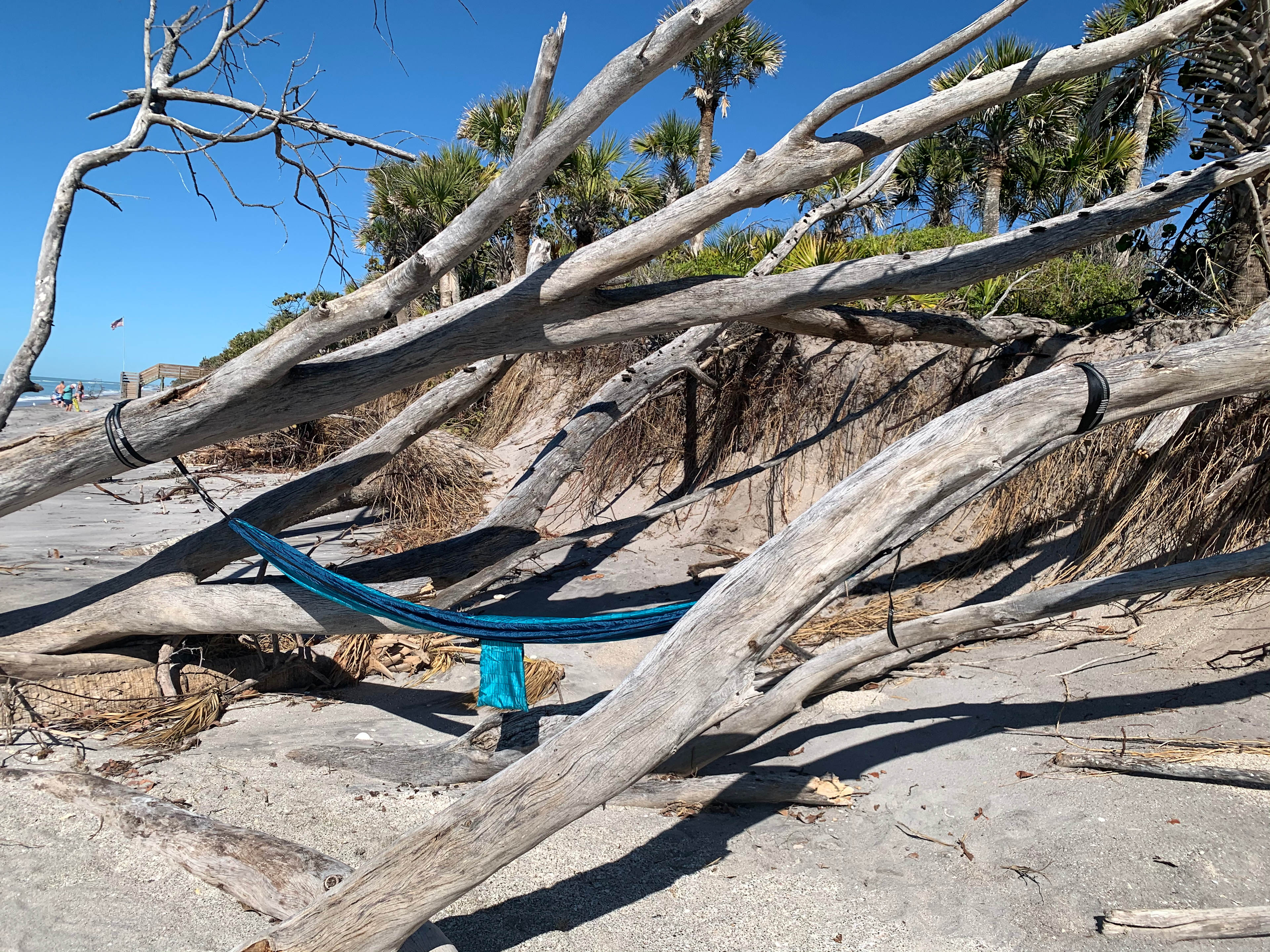 The best use of driftwood