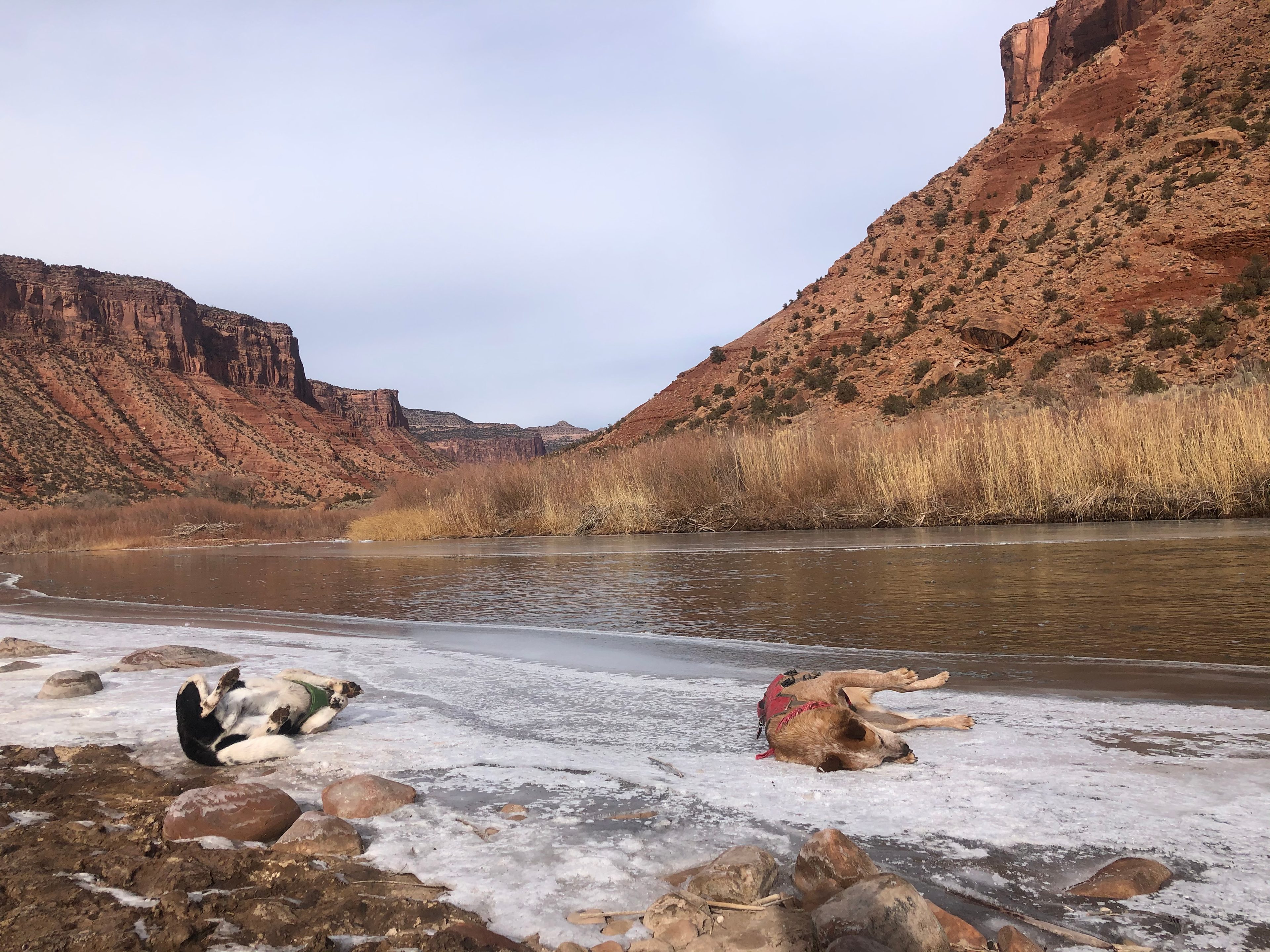 The Views at Gateway