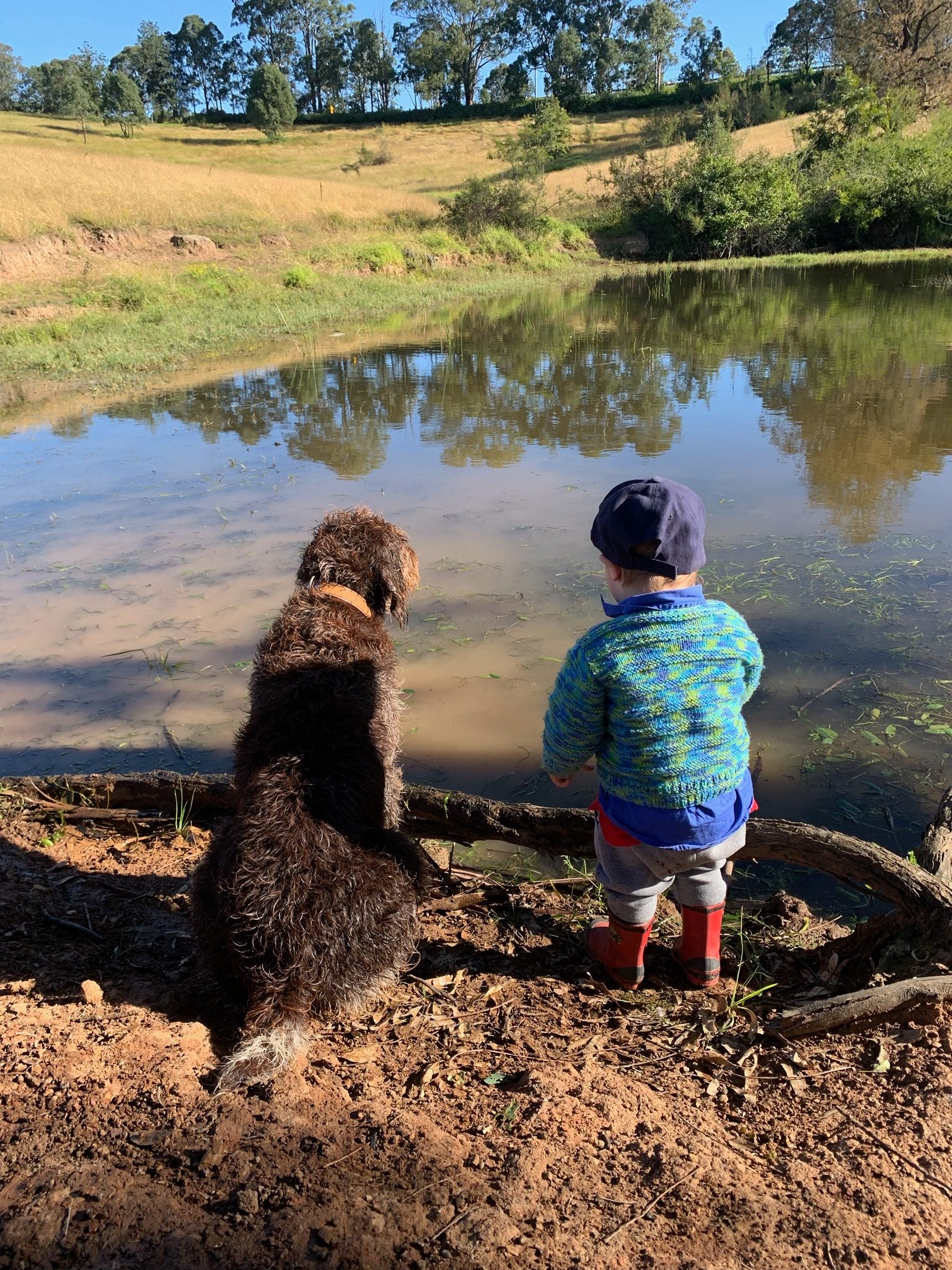 Above Syd at Trigonometry point