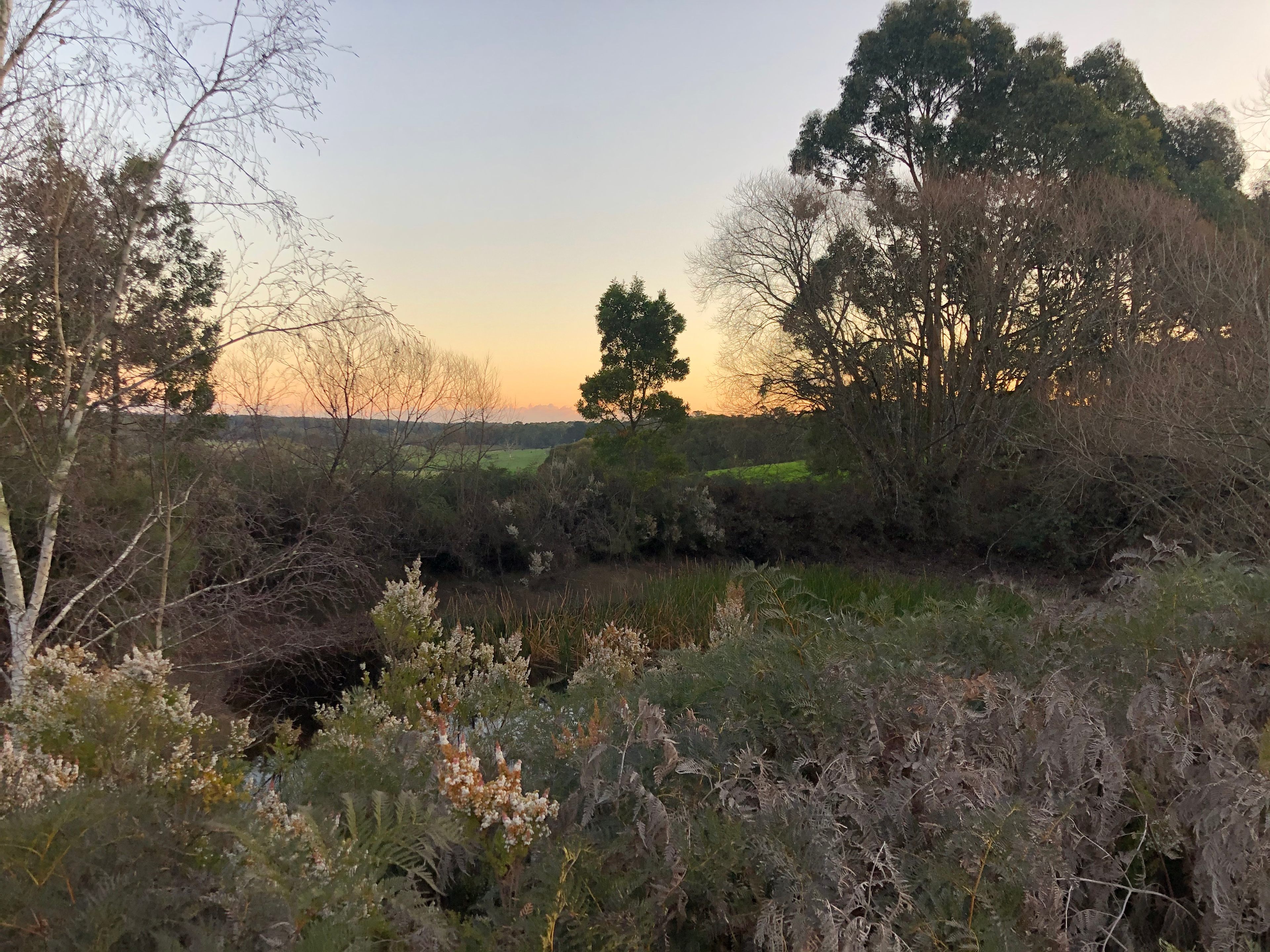 Door to the Otways