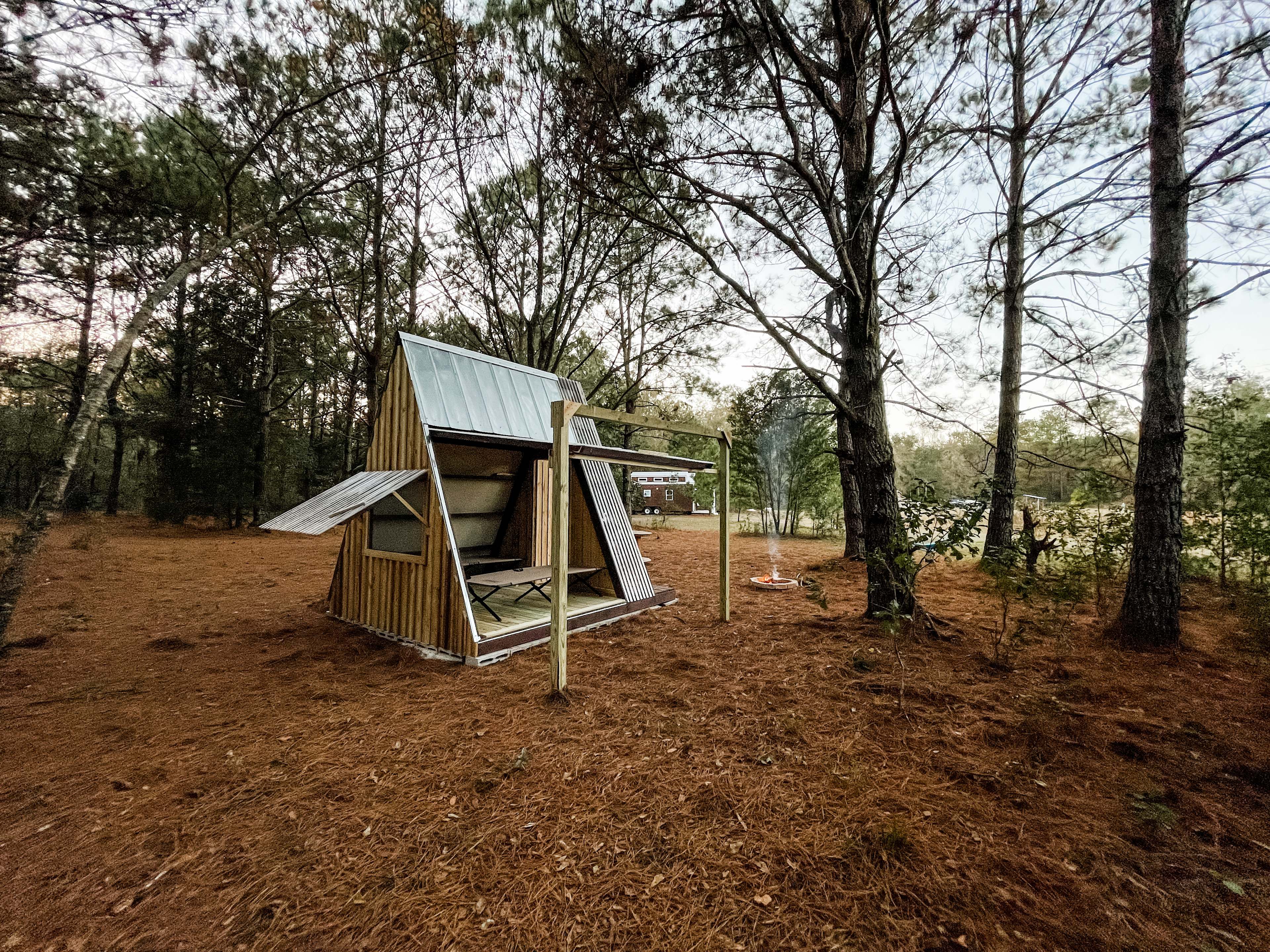 Wildflower Pond and Woodlands