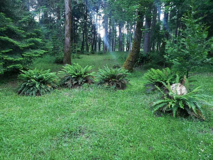 Azalea Grove Getaway