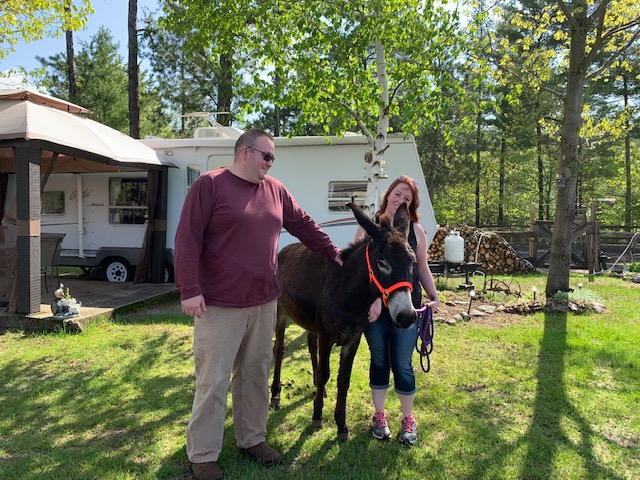 Kickin' Up Dust Farm