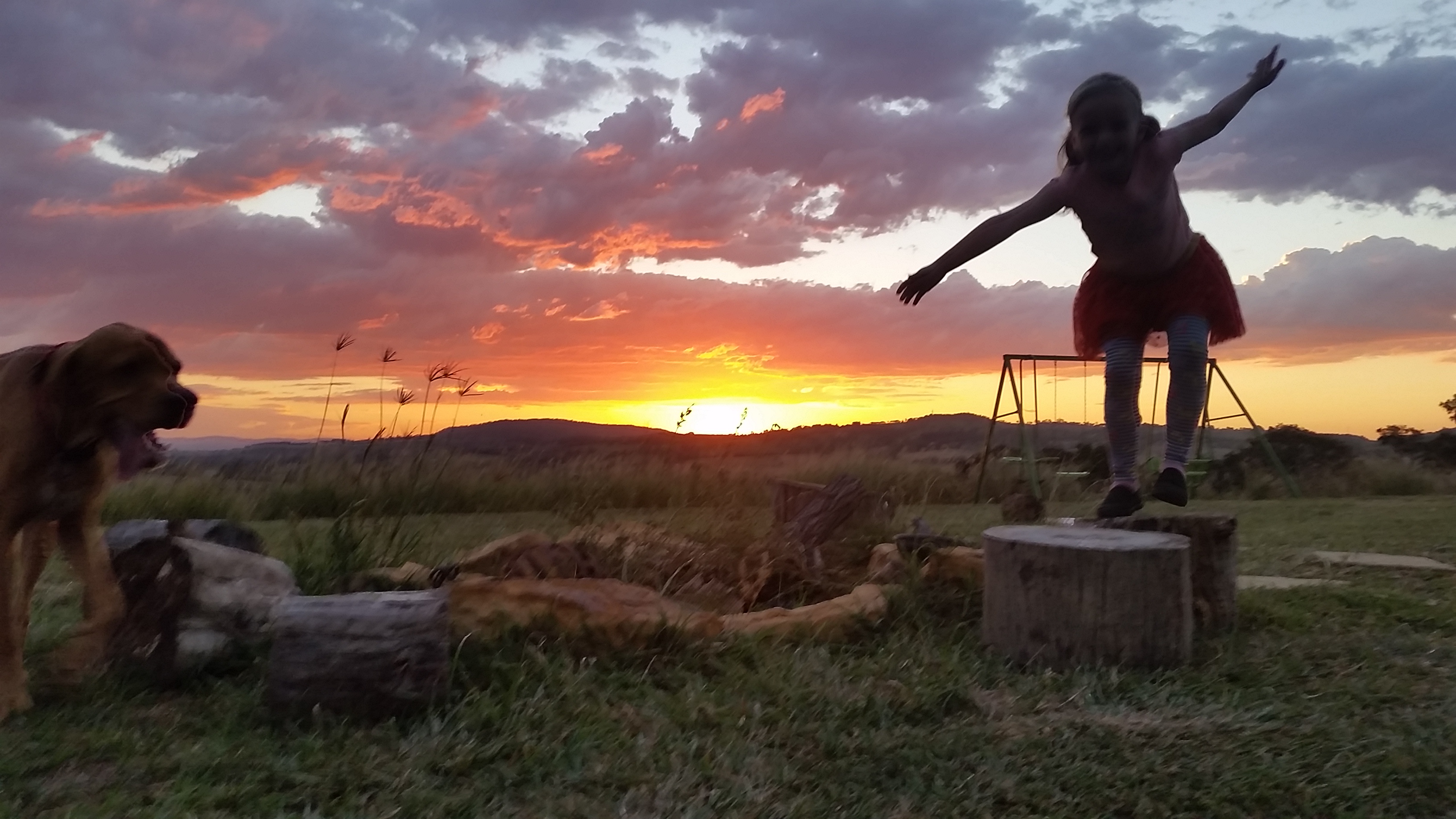 Field of Dreams, Haigslea