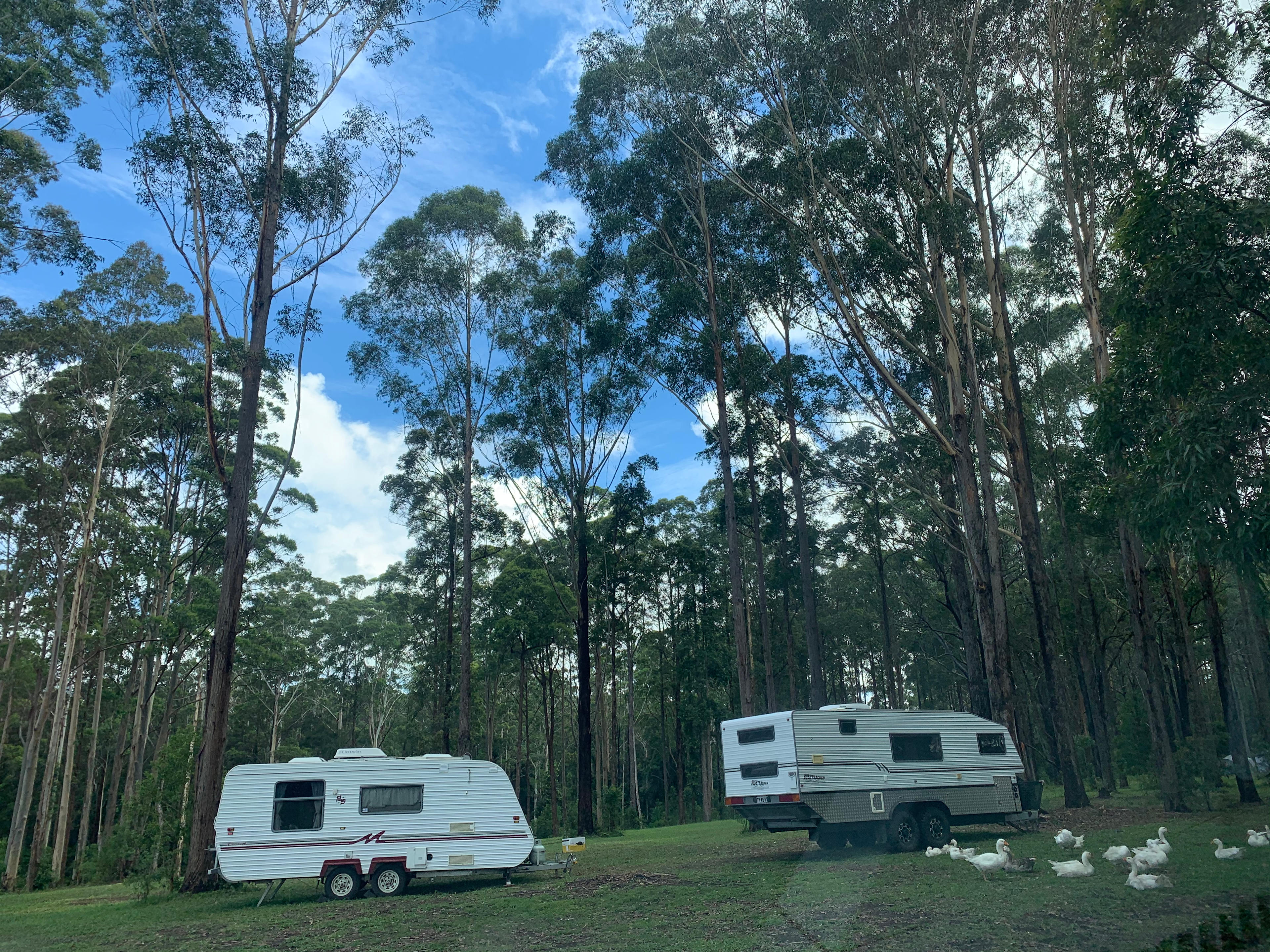 Coffs Harbour Camping & Farmstay