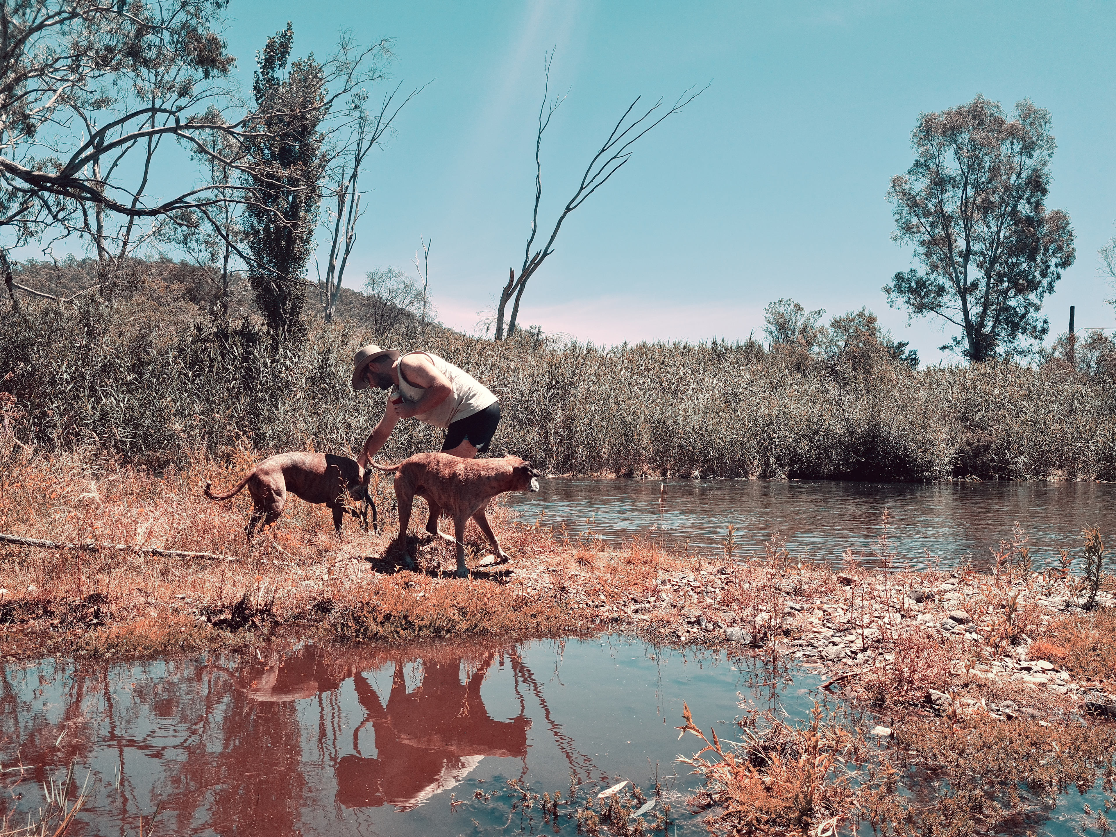 The Witches Garden at Mitta Mitta