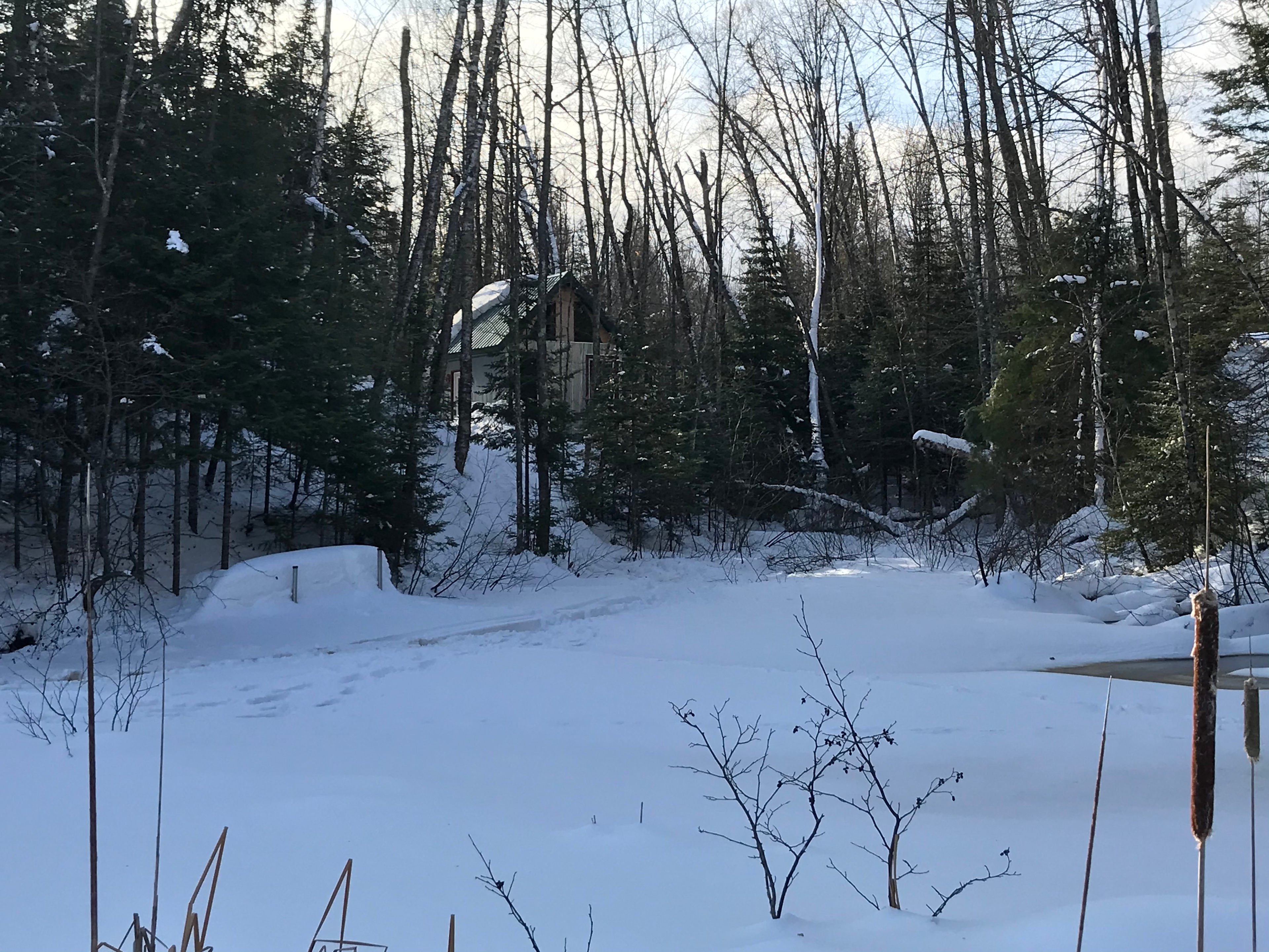 Pic taken in 2018 near that year's location of the beaver lodge.  Every year they keep upgrading and moving to bigger and better lodging! If you startle them, you'll hear a "Slap!" from their tail striking the water as they dive under.