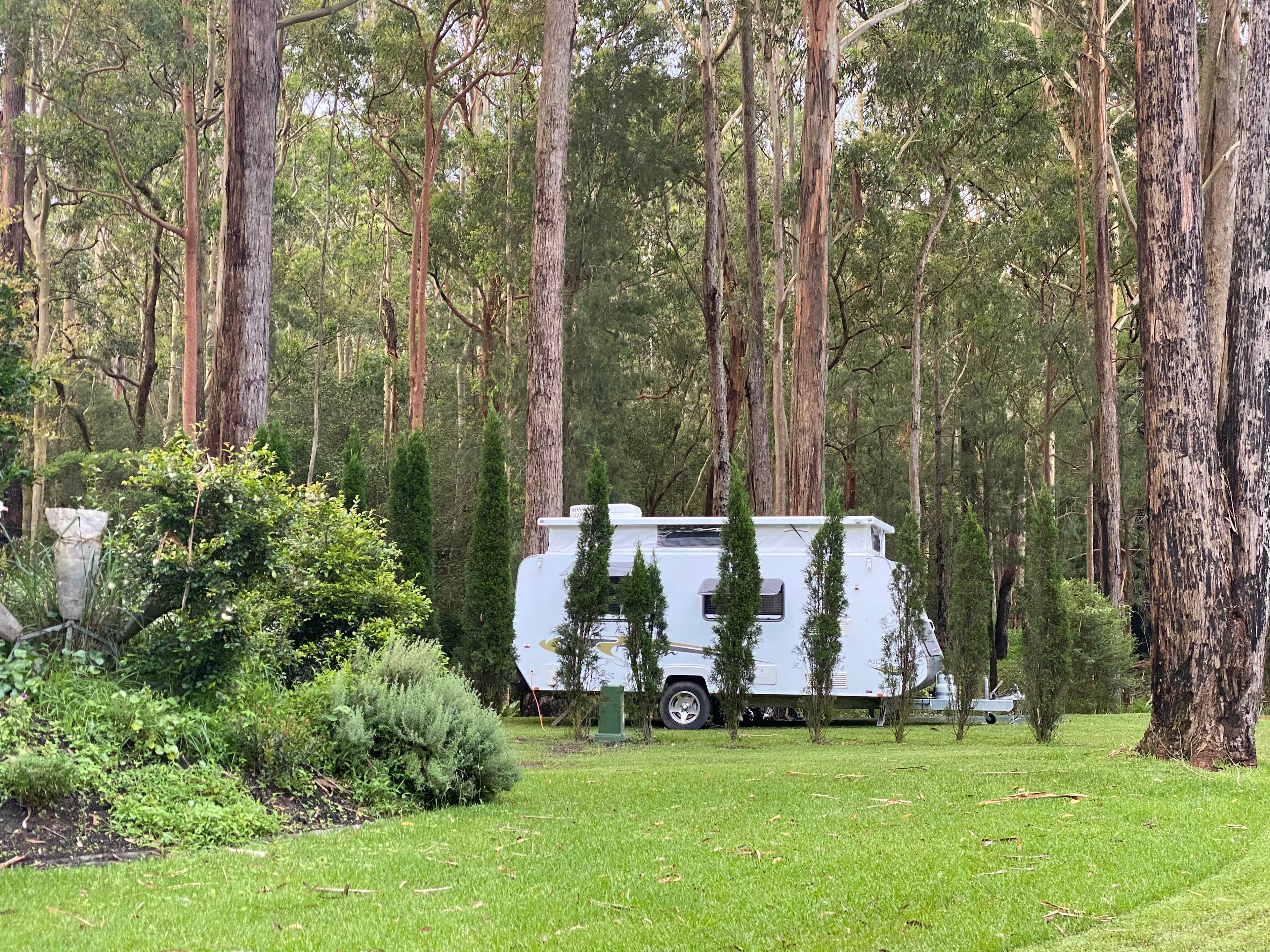 Mistinthegumtrees BUDGET 2 GLAMPING