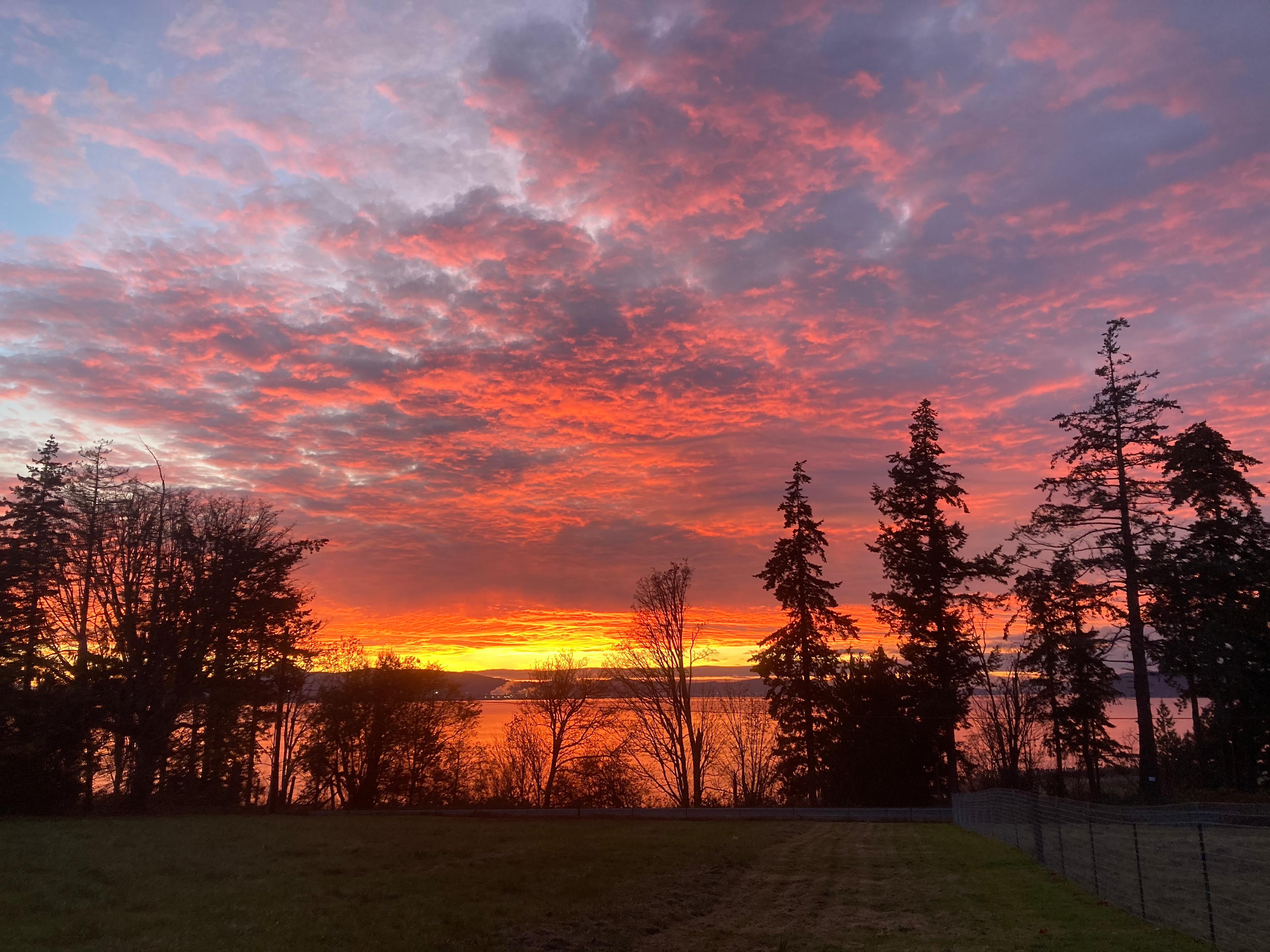 Fall sunset with alpaca field seen on the right.