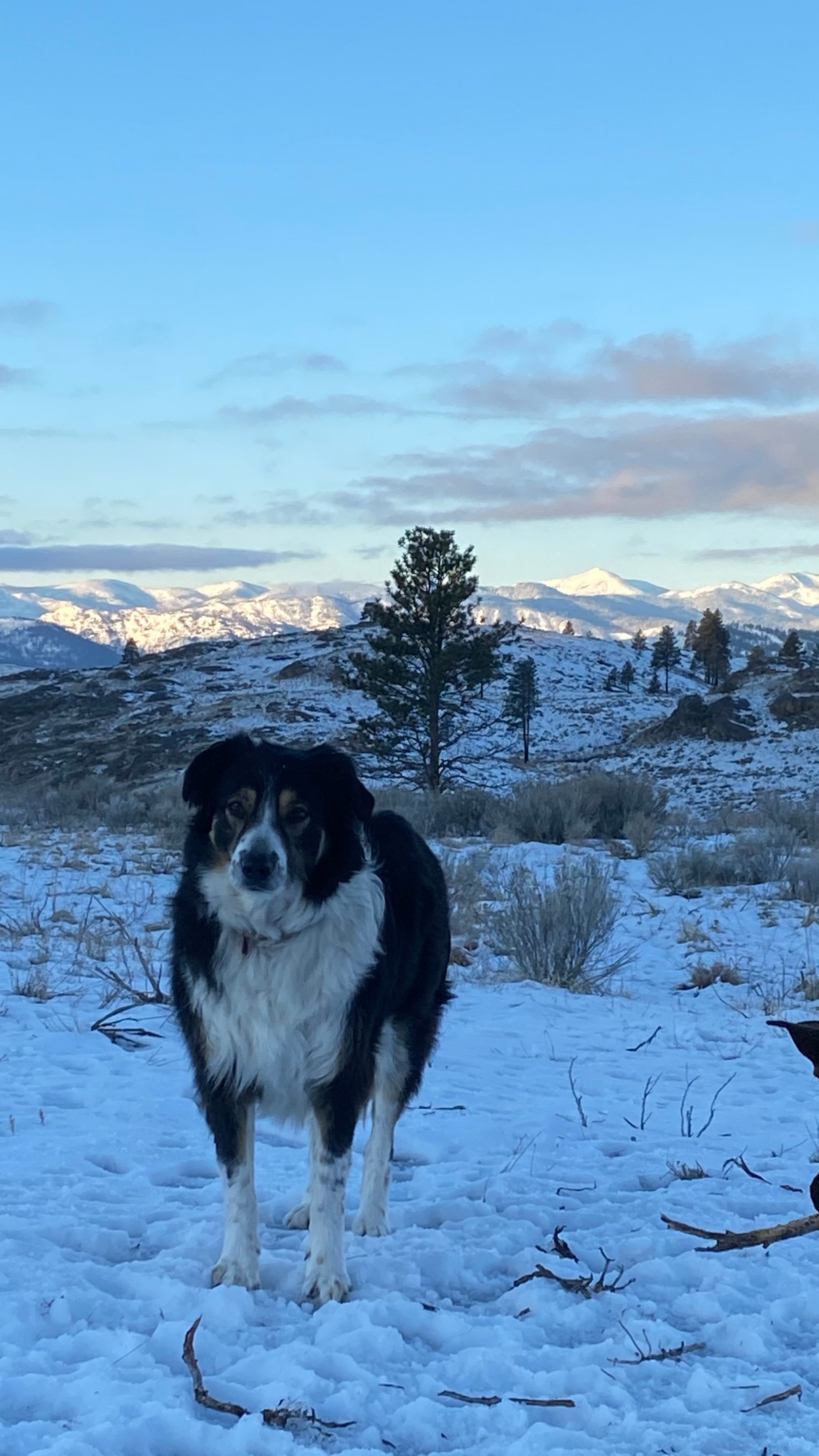Nico's Nerdy Nursery