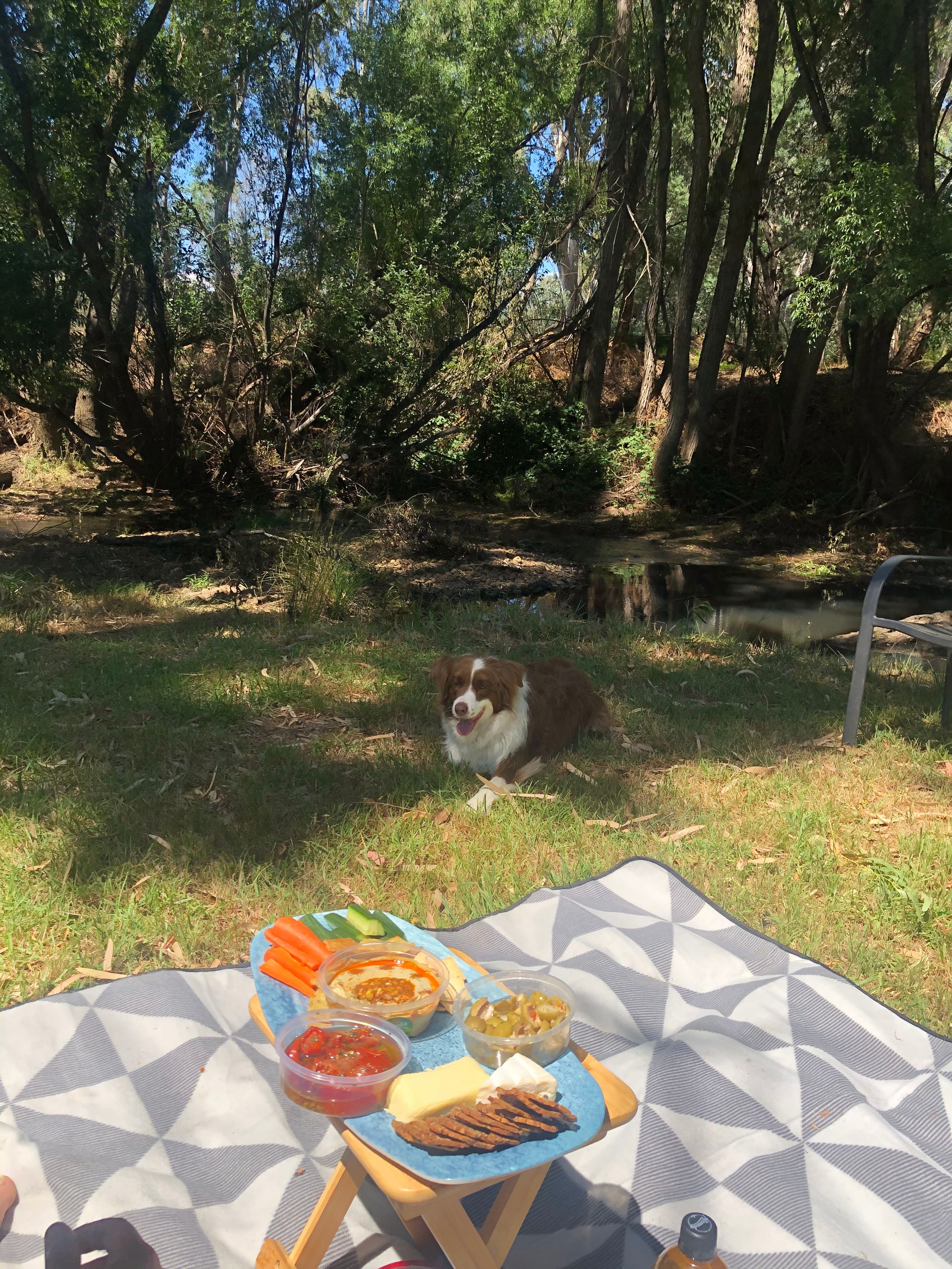 By the creek at the front of the property