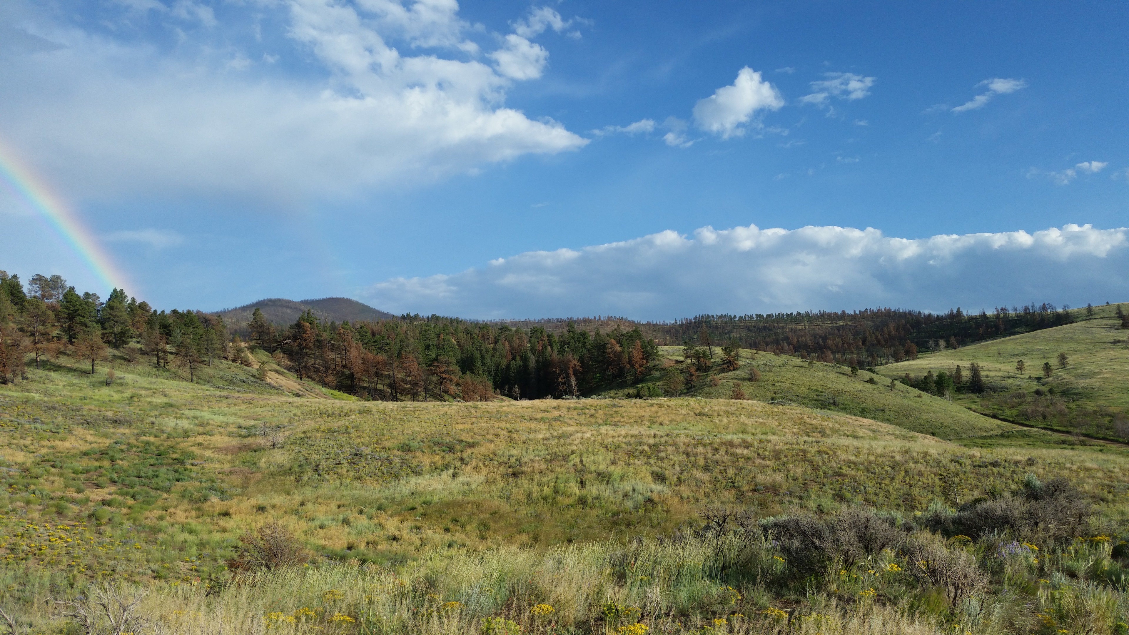View Facing East