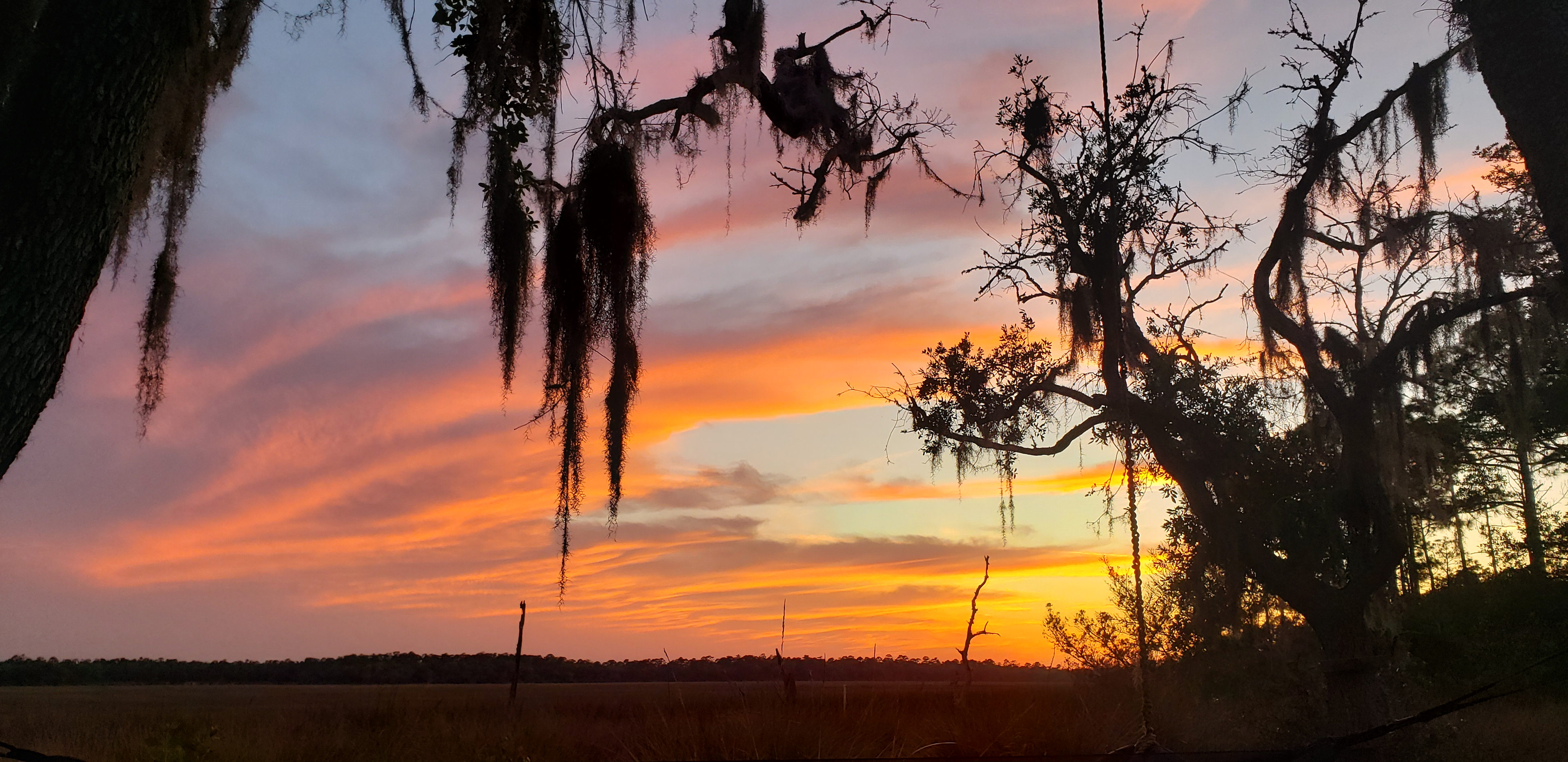 PREVIOUS & SELECT new guests.