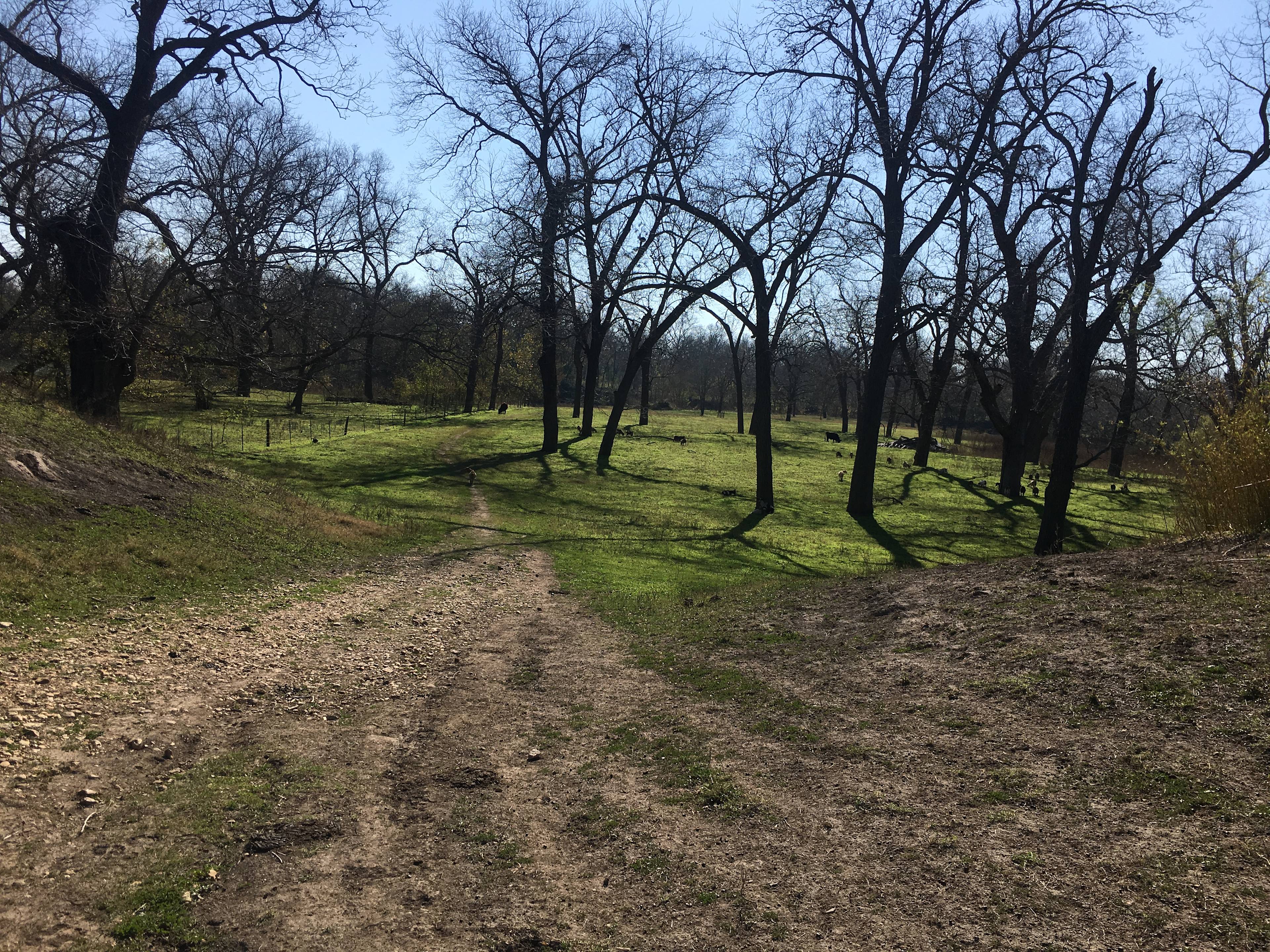 River Grove Campground